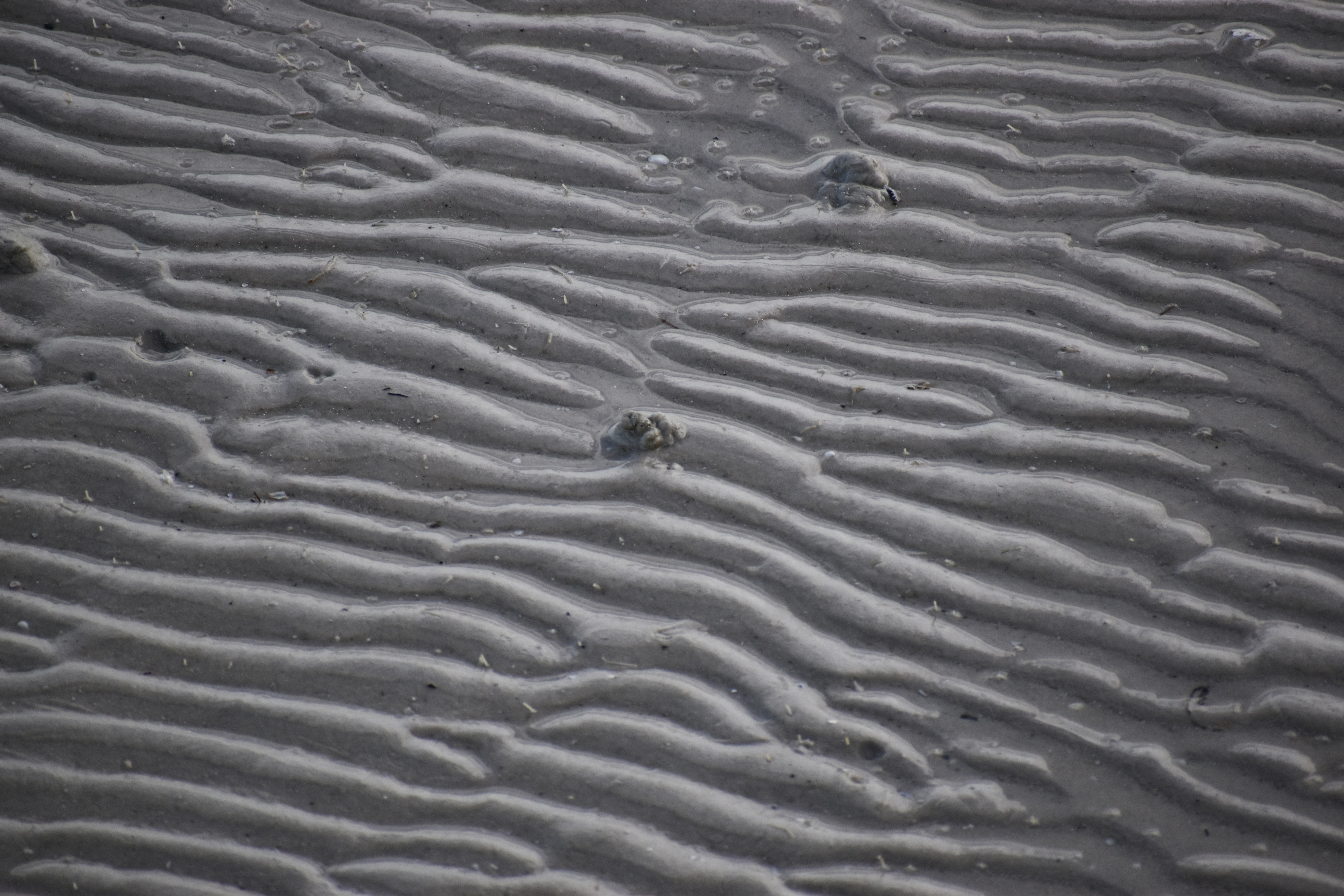 white sand with water droplets