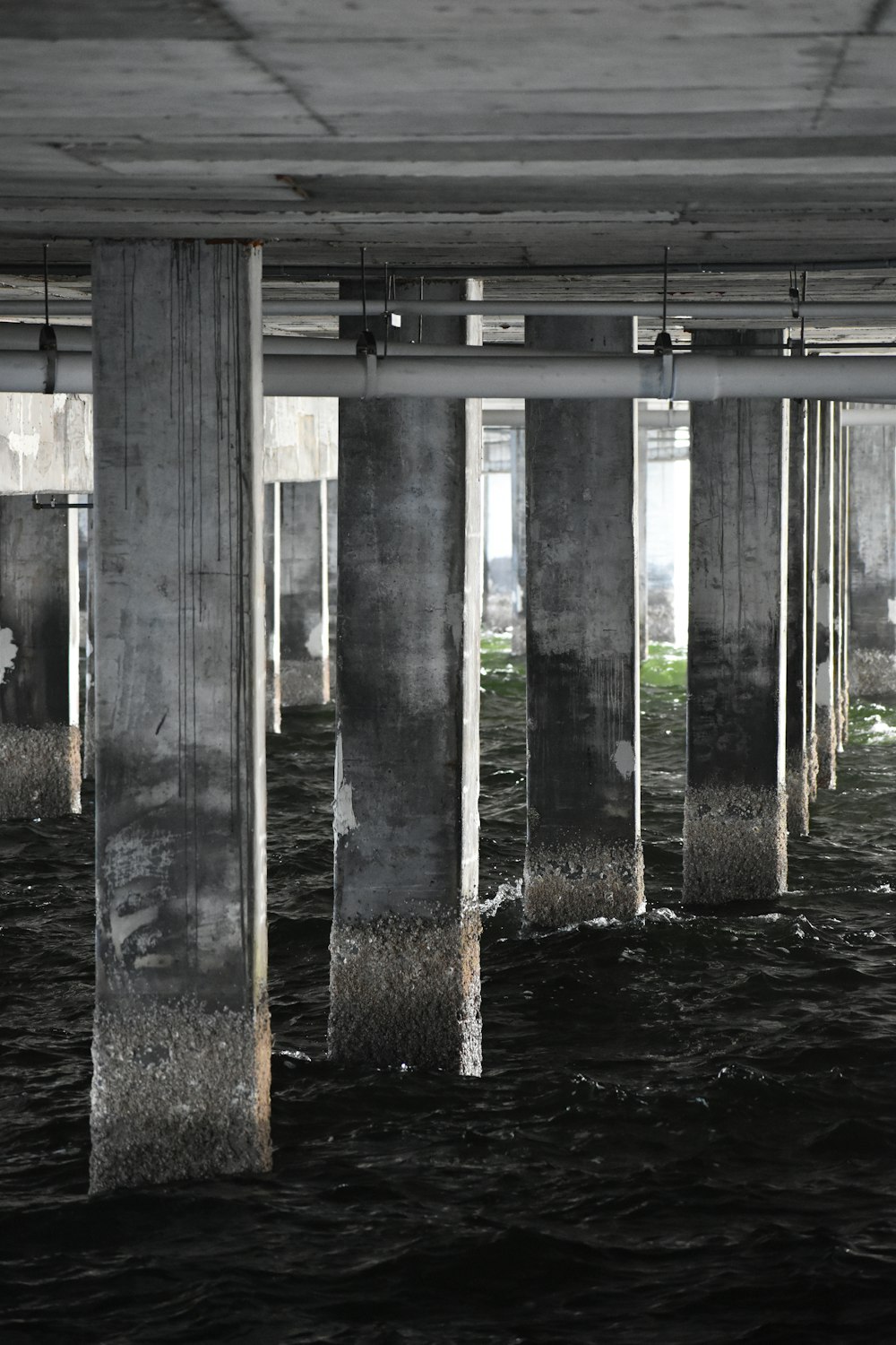 brown wooden dock on body of water during daytime