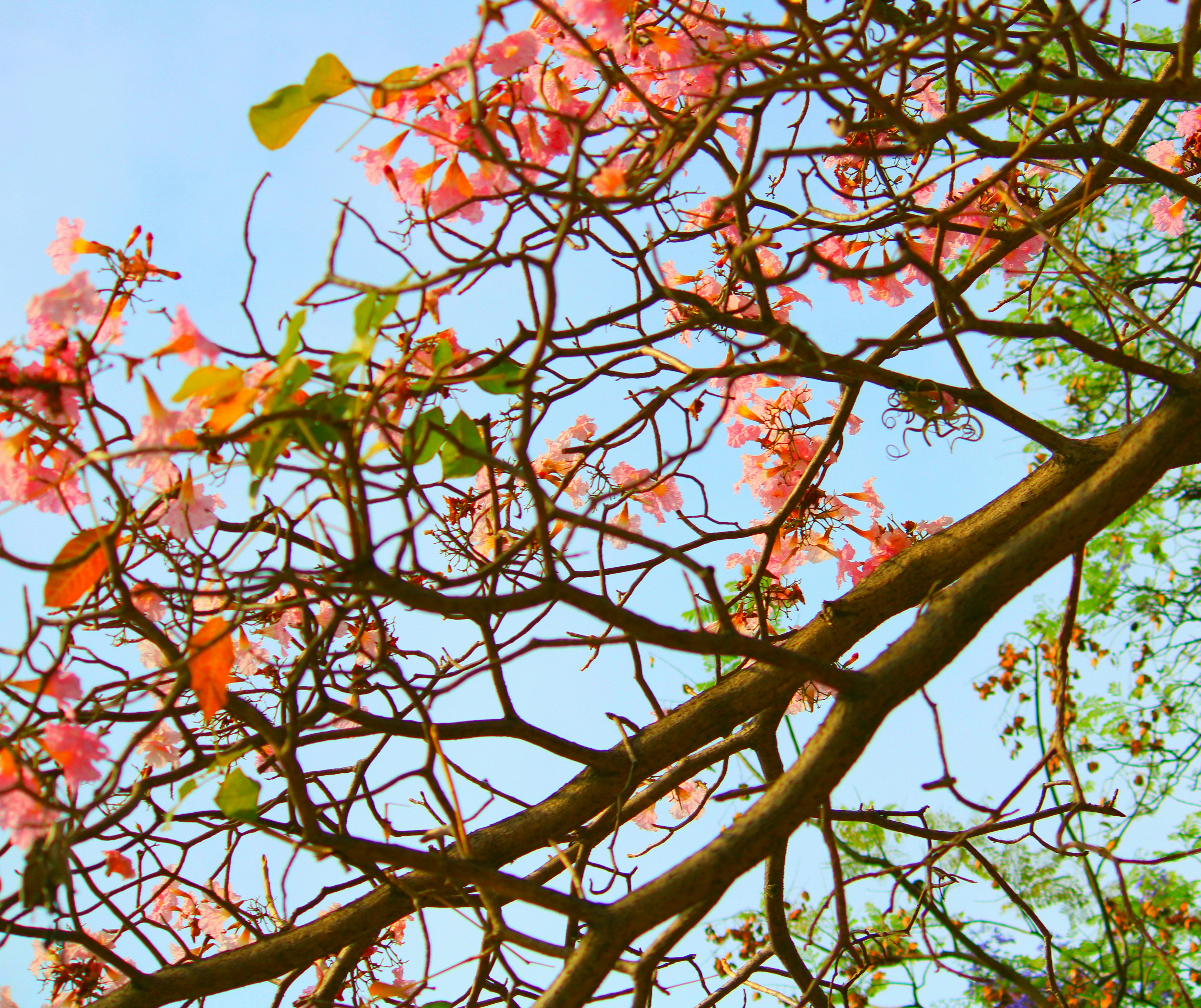 Photo by tasteless_007