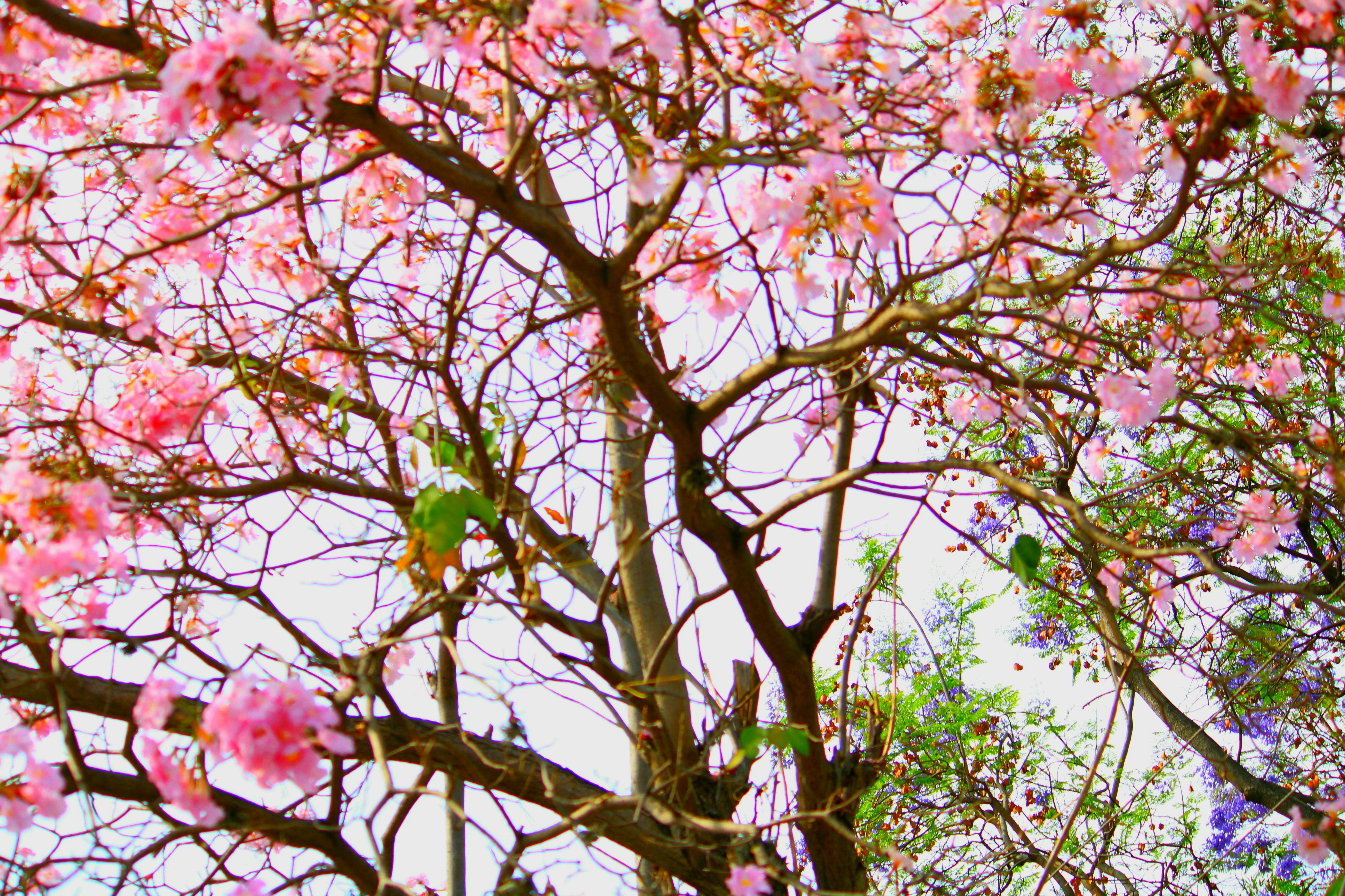 Photo by tasteless_007