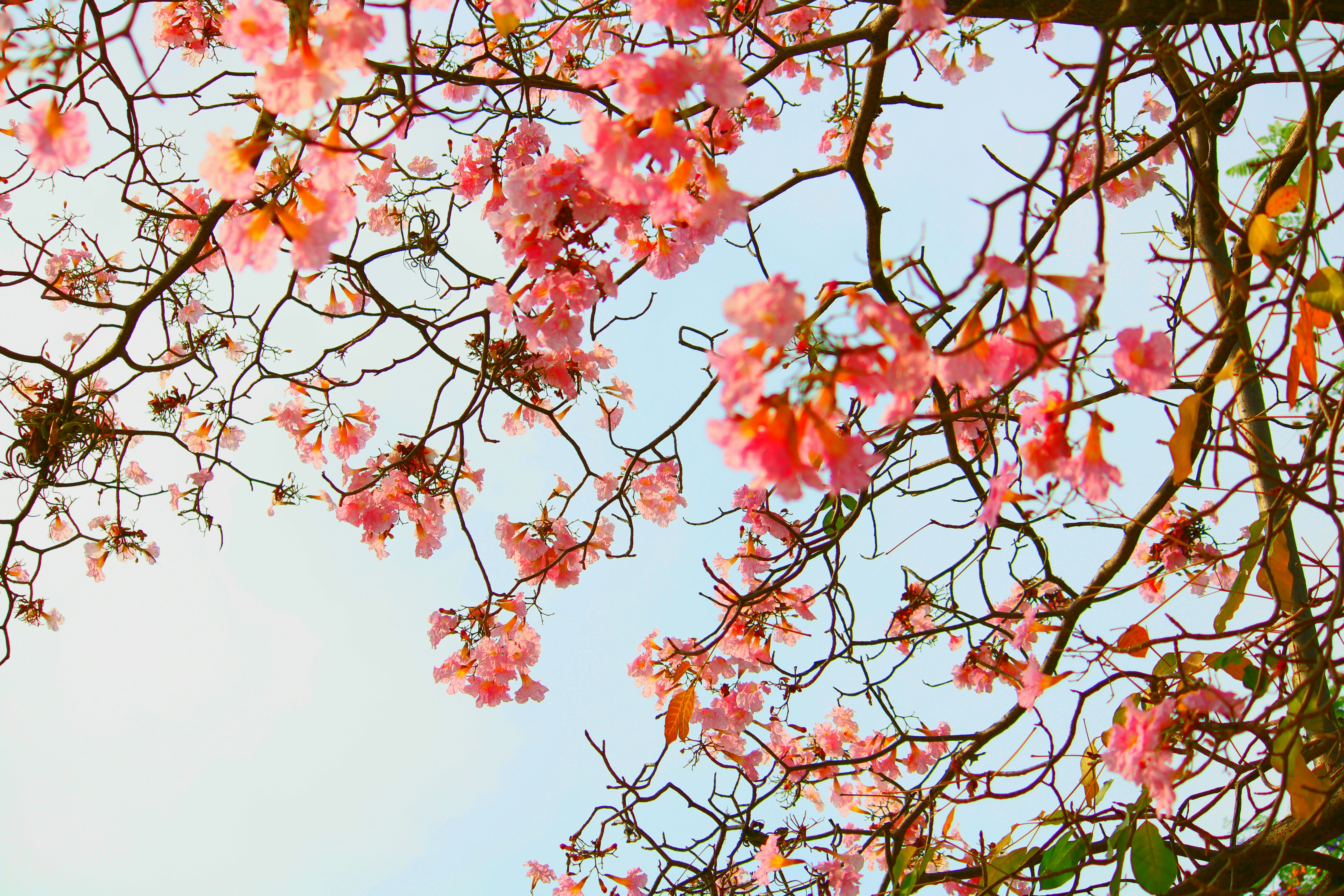 Photo by tasteless_007