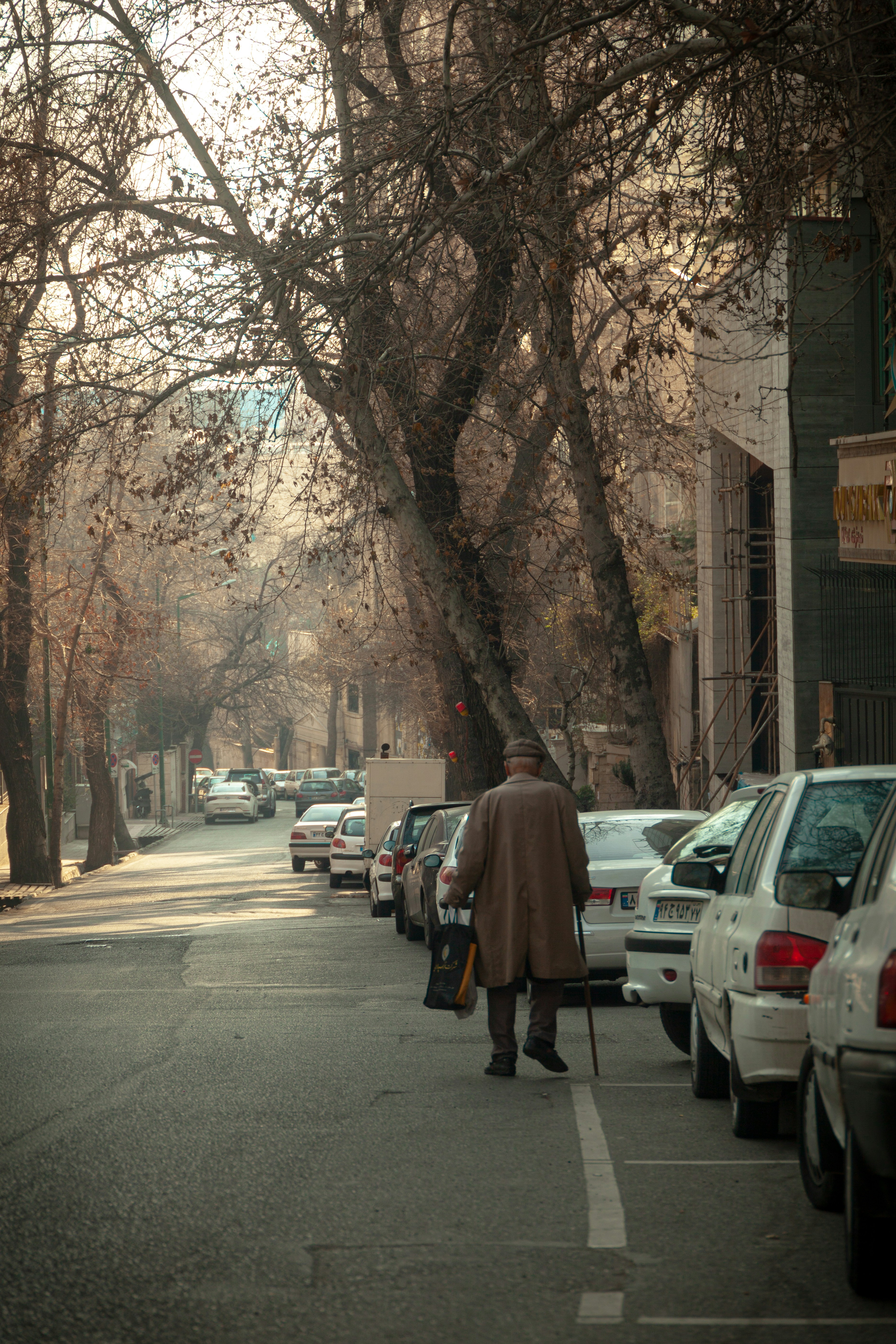 Photo by soltanimedia