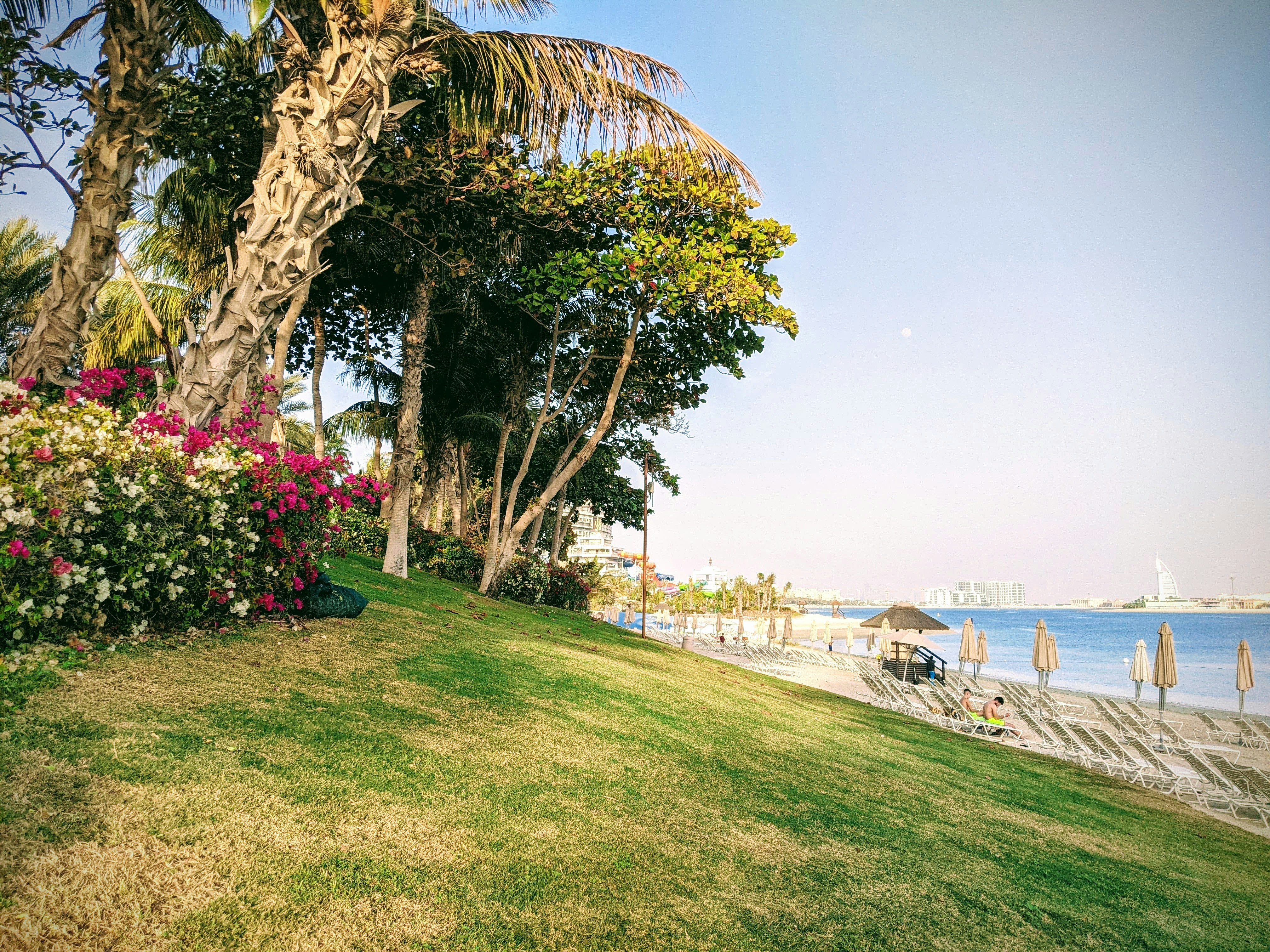 green grass field near body of water during daytime