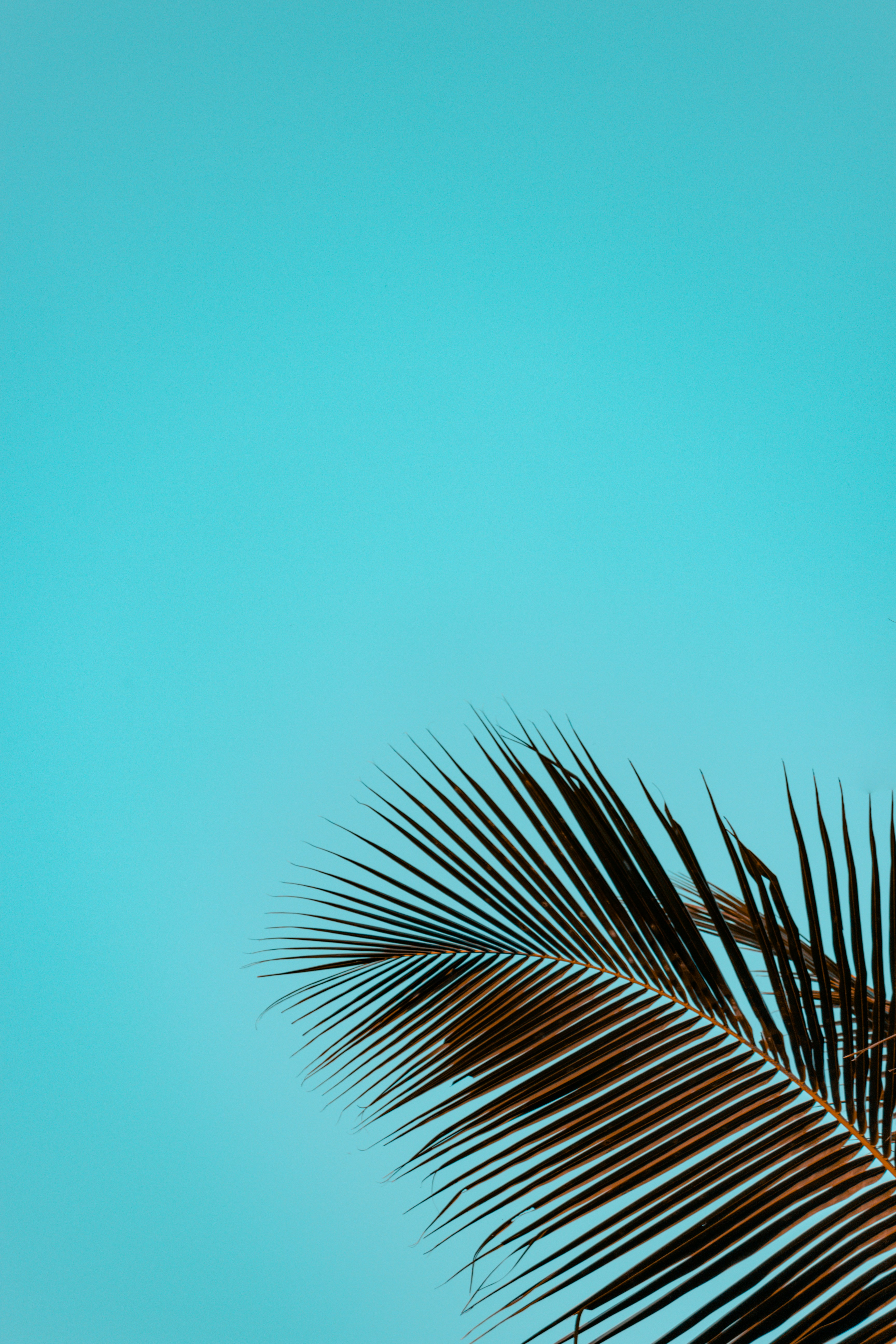 Photo by thilak_cm212