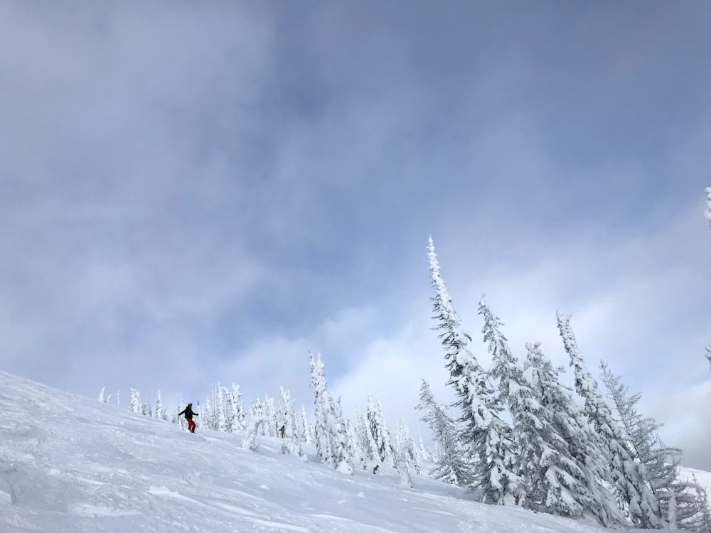 people walking on snow covered ground during daytime