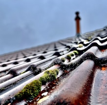 A close-up view of a weathered, corrugated roof with moss growth along the edges, set against a cloudy sky. In the background, a chimney rises, slightly out of focus.