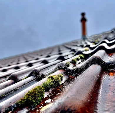 A close-up view of a weathered, corrugated roof with moss growth along the edges, set against a cloudy sky. In the background, a chimney rises, slightly out of focus.