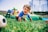A joyful baby crawling on a colorful mat surrounded by cheerful parents and playful decorations.