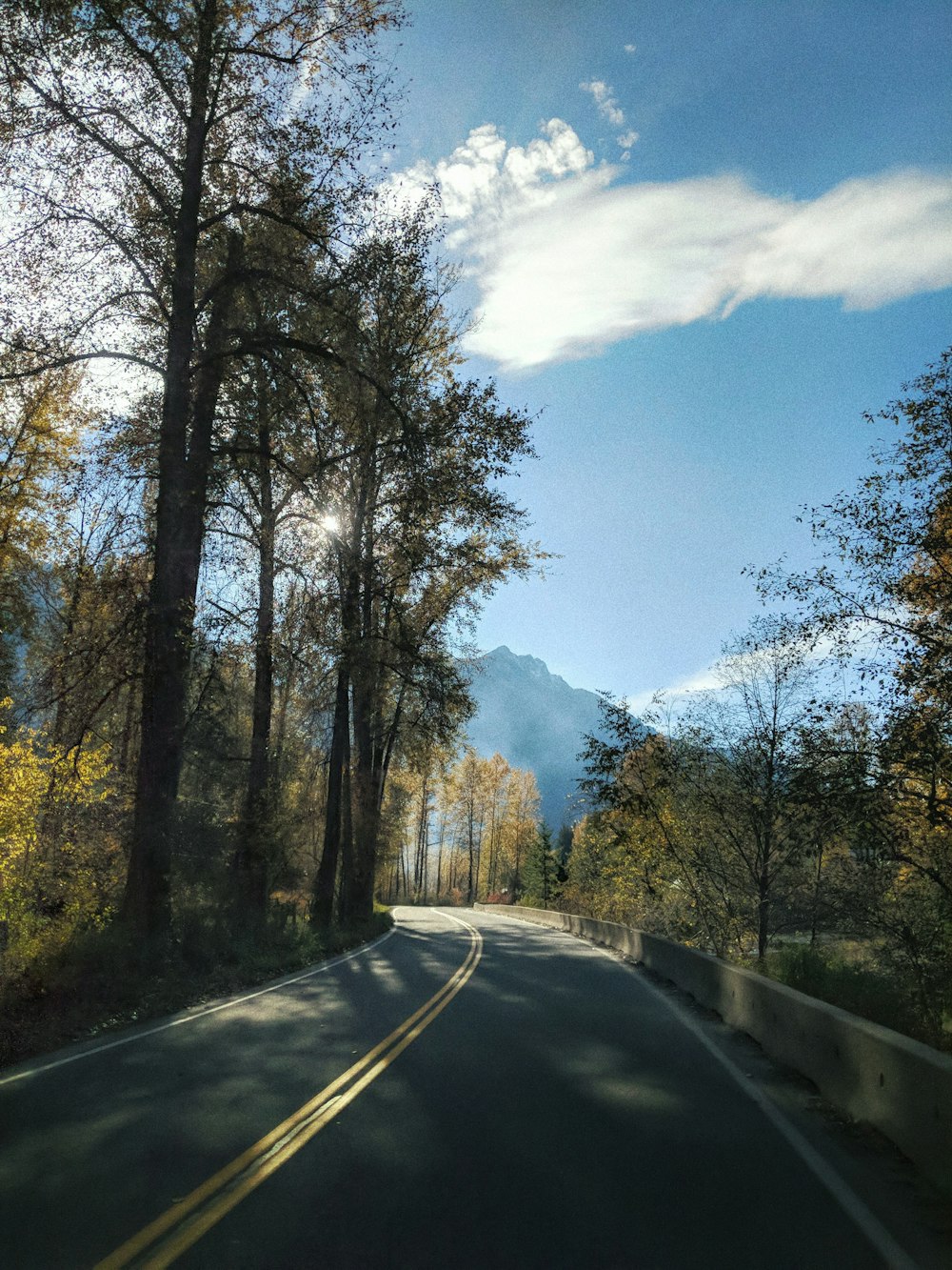 gray asphalt road between green trees under blue sky during daytime