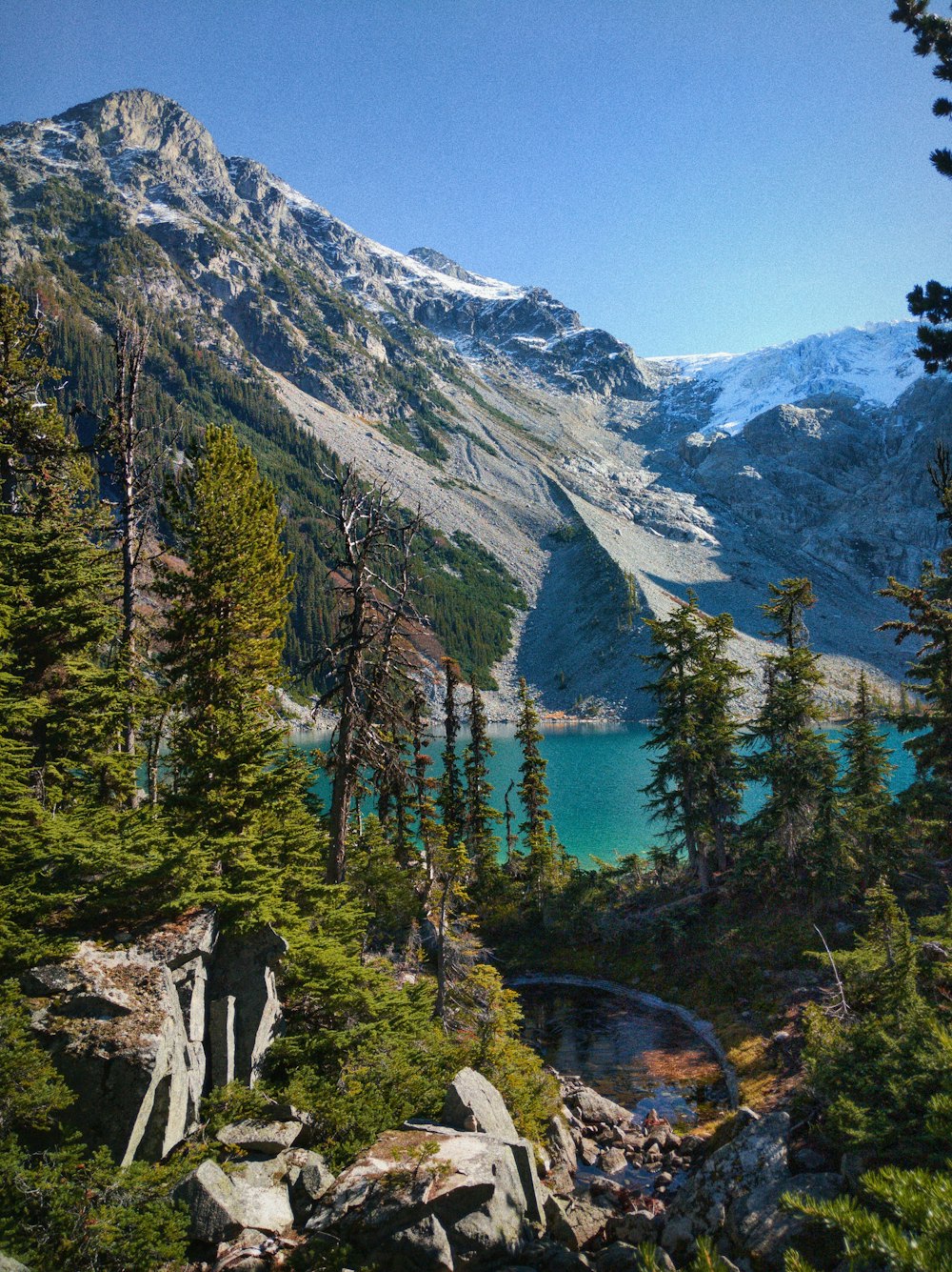 Grüne Bäume in der Nähe von See und Berg tagsüber unter blauem Himmel