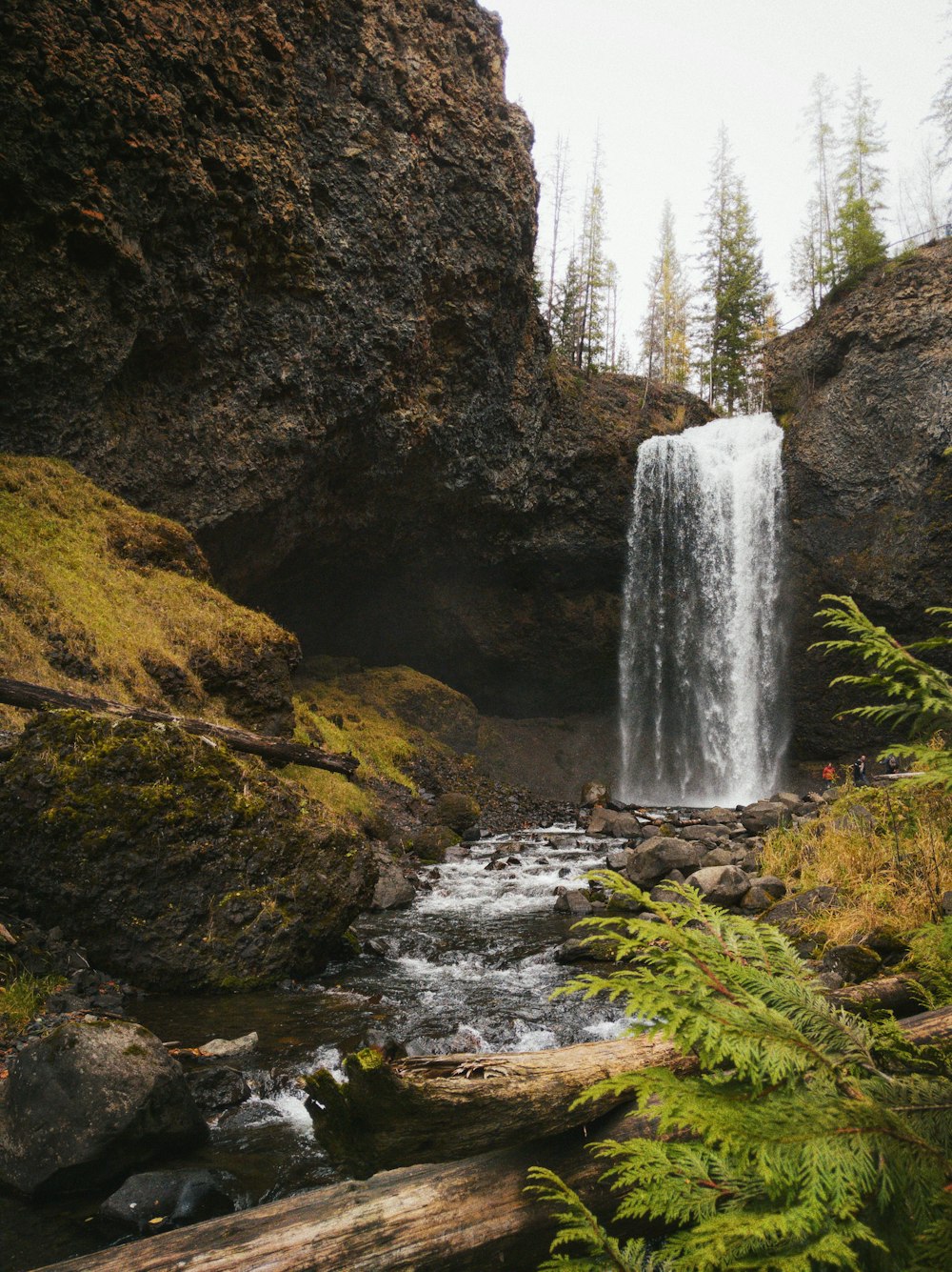 waterfalls in the middle of the forest