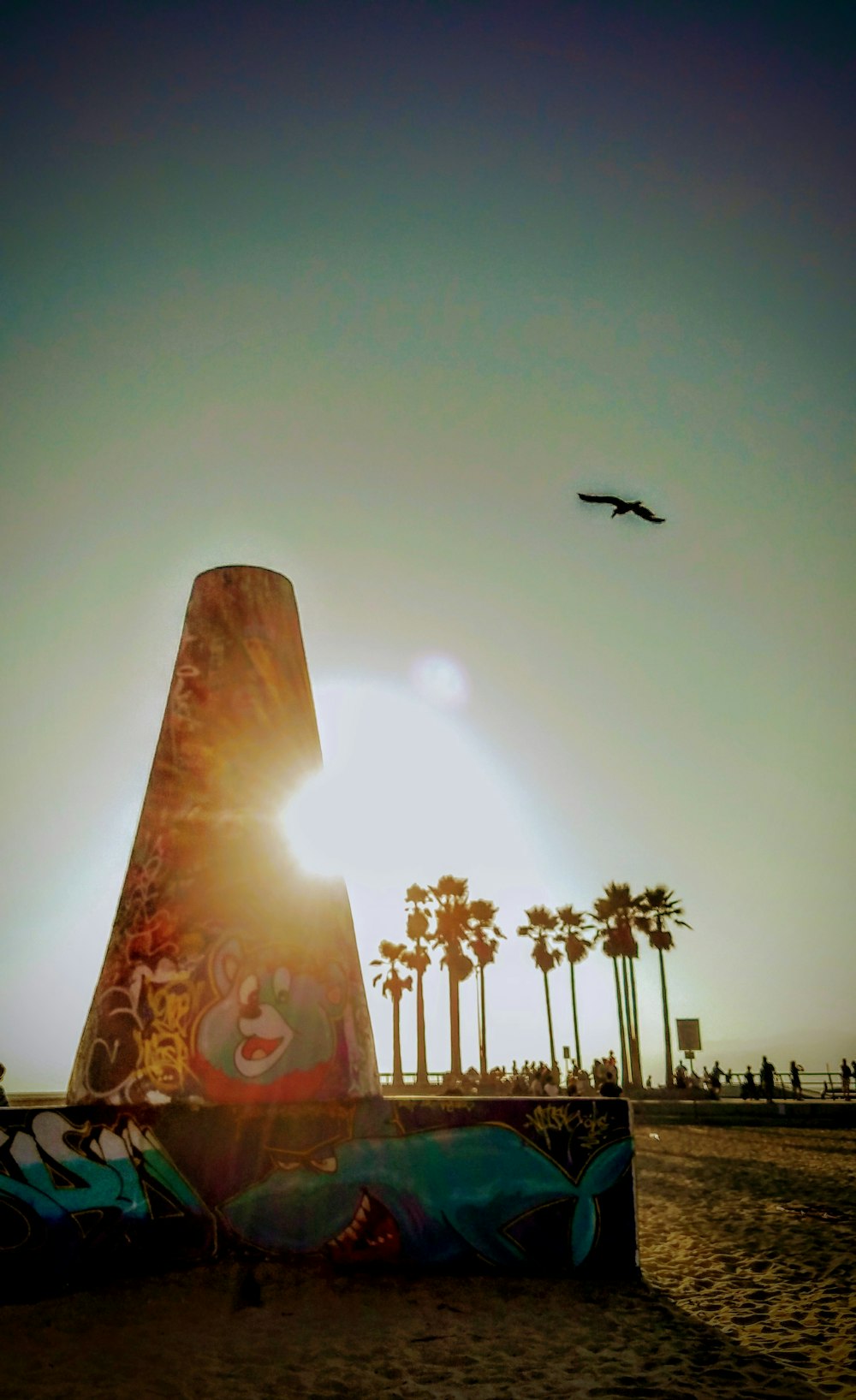 birds flying over the palm trees during daytime