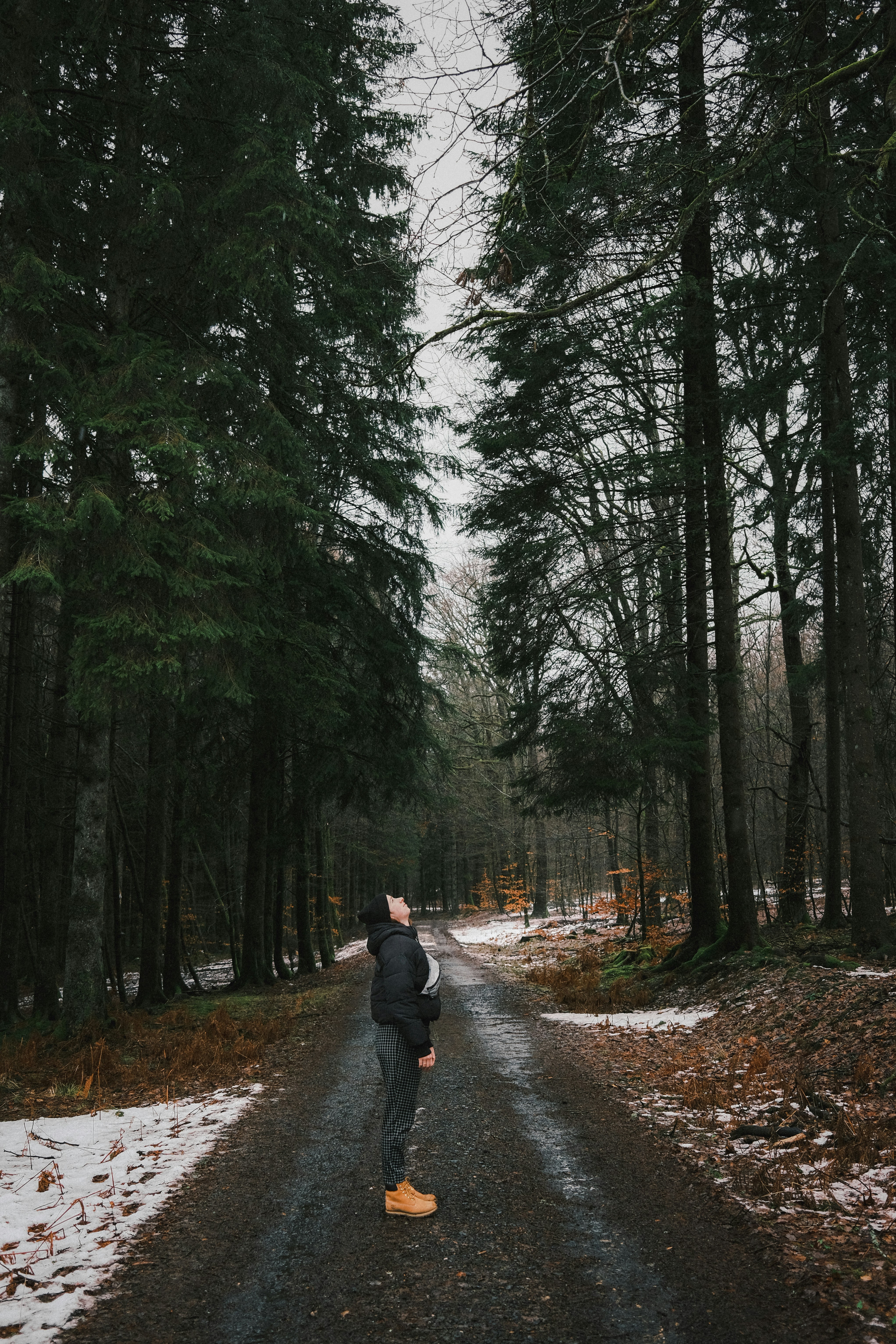 Photo by jonasvandermeiren