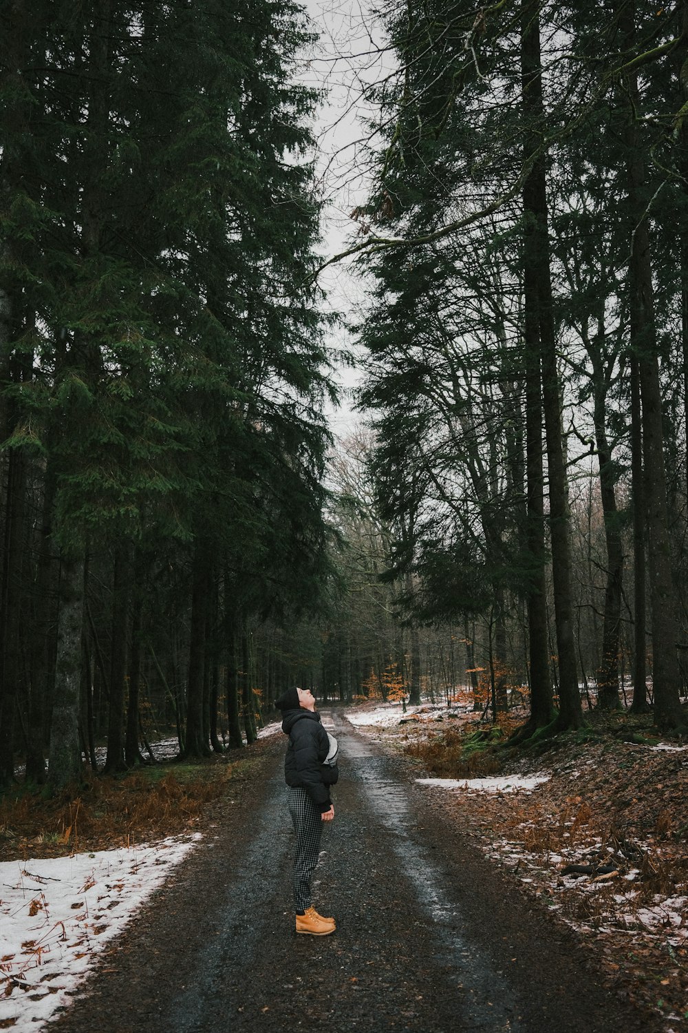 person in black jacket walking on pathway between green trees during daytime