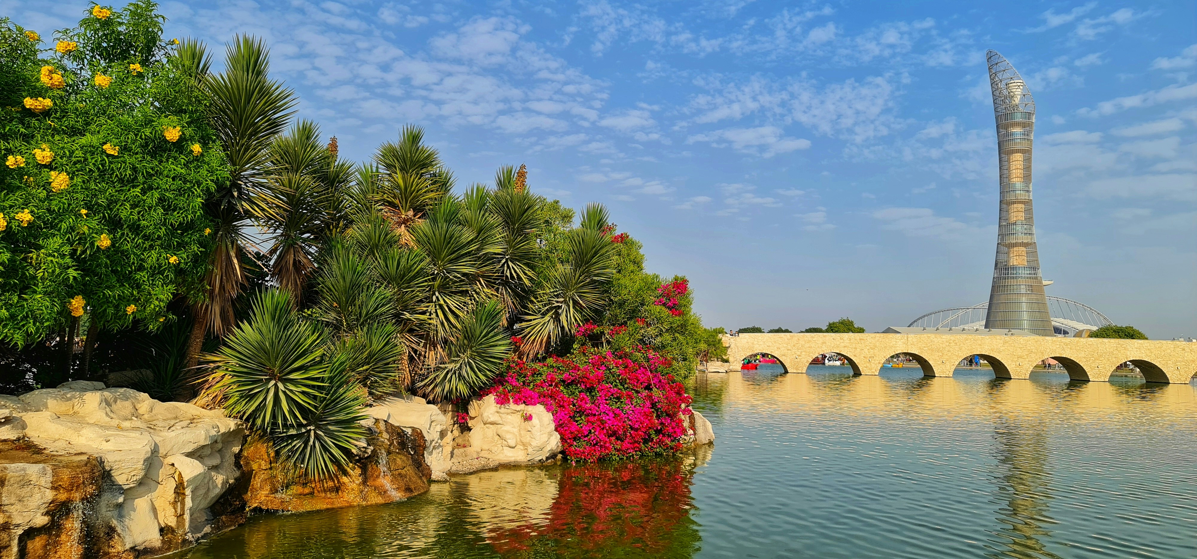 green palm tree near body of water during daytime