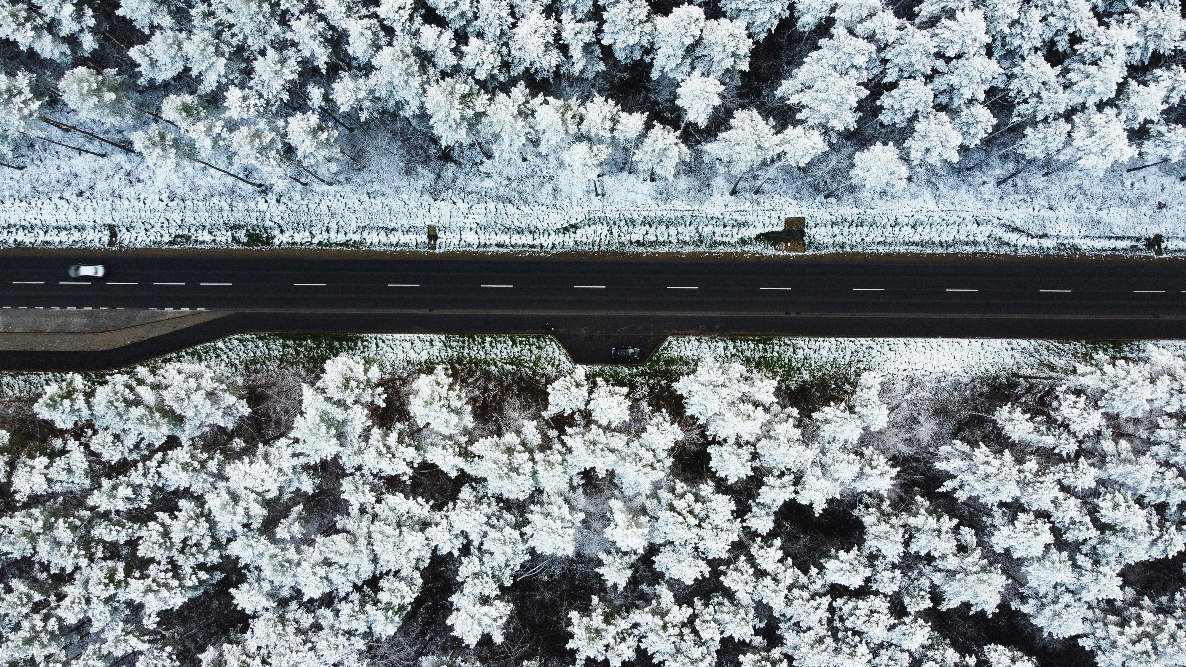 Photo by gregmarczyk