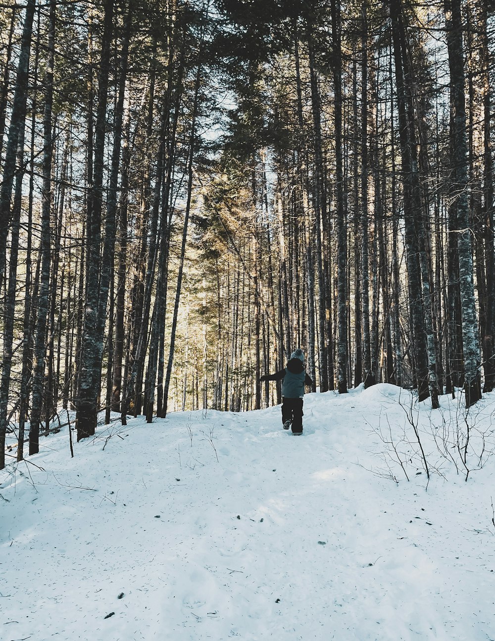 昼間、木の近くの雪に覆われた地面に立つ黒いジャケットを着た人