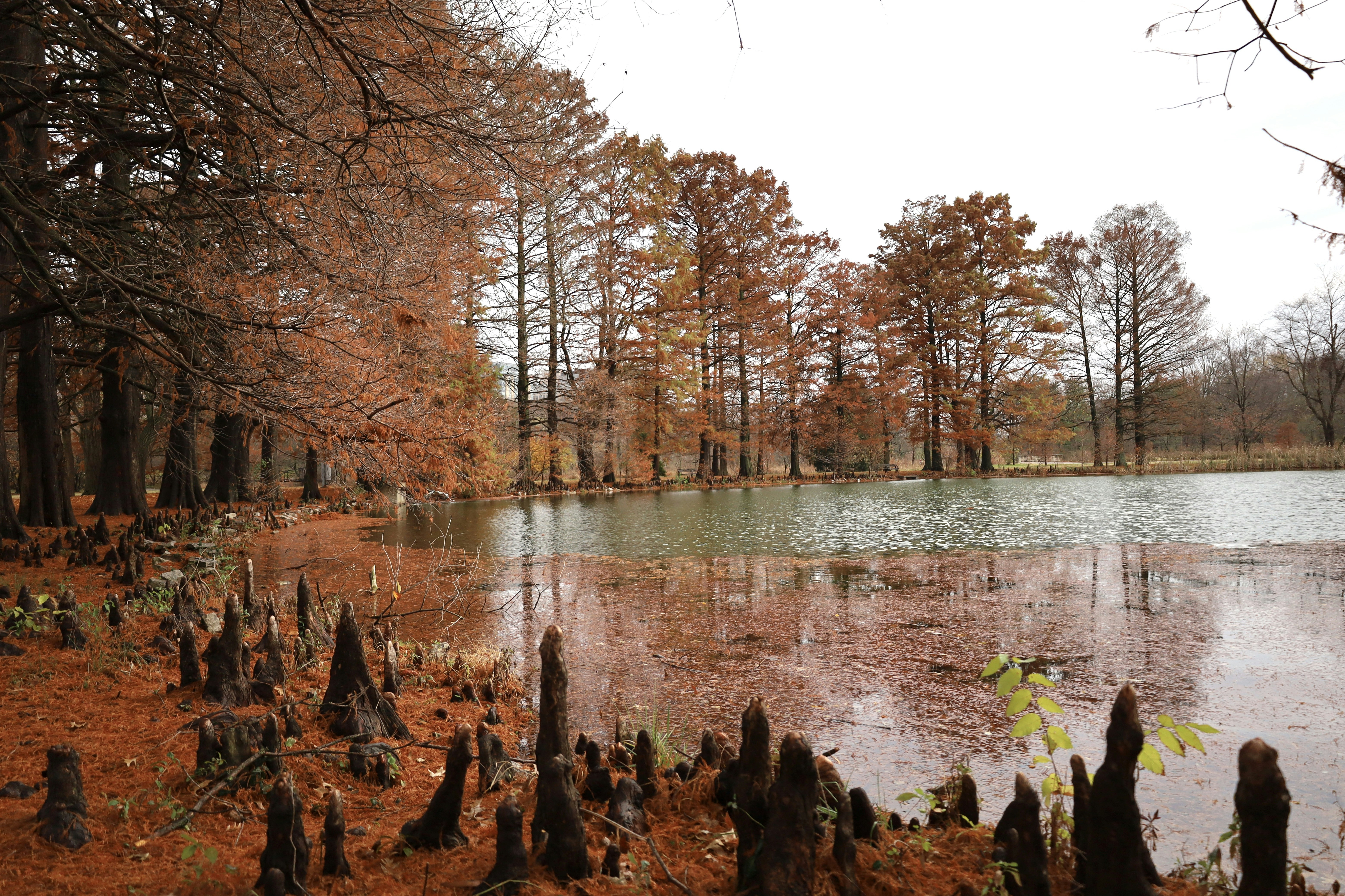 Photo by cokakukeran