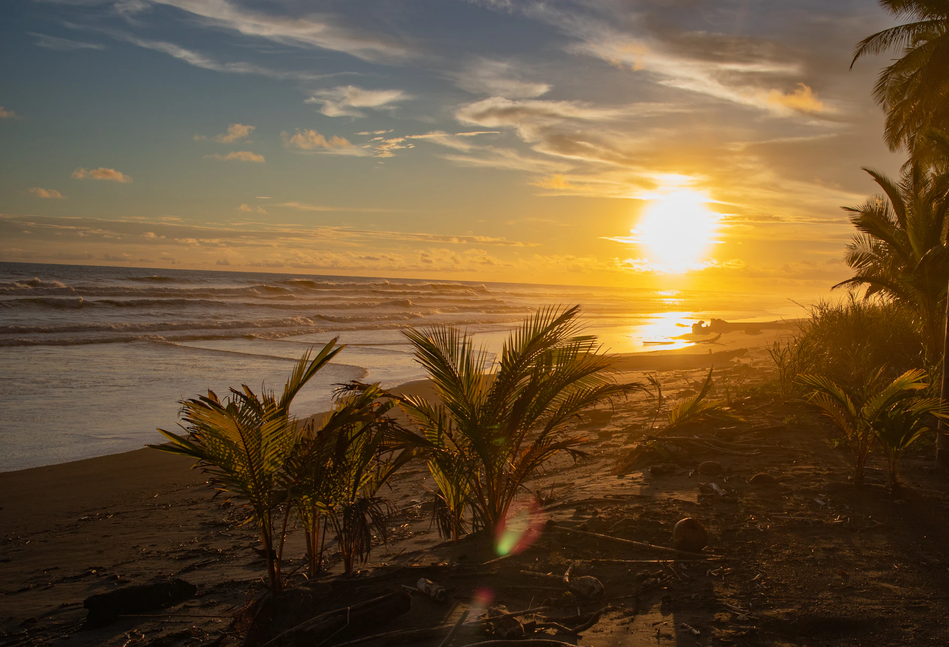 A golden sunset over a tranquil Pacific beach in Costa Rica, with gentle waves lapping the shore and palm trees swaying in the breeze.
