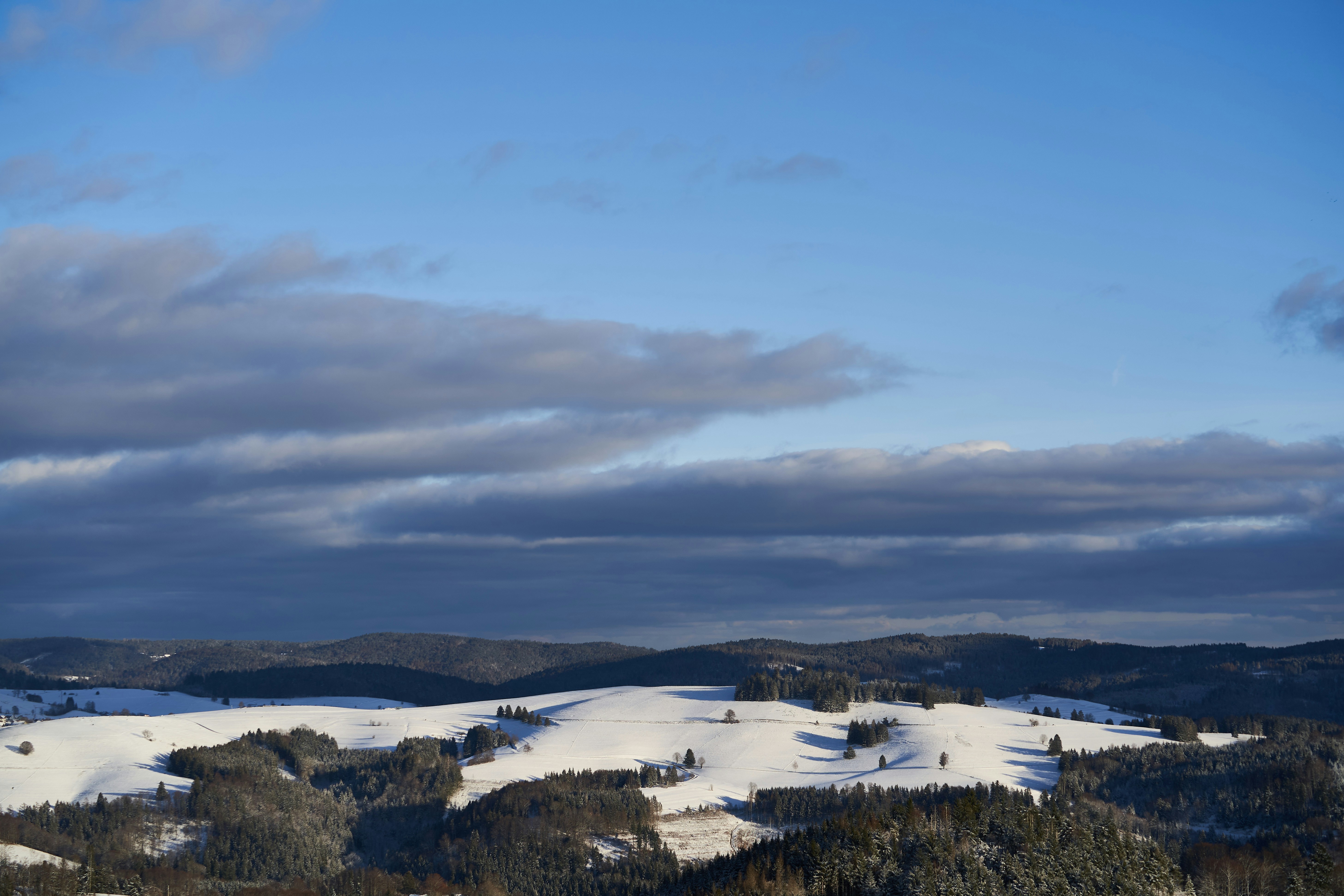 Photo by wolfgang_hasselmann