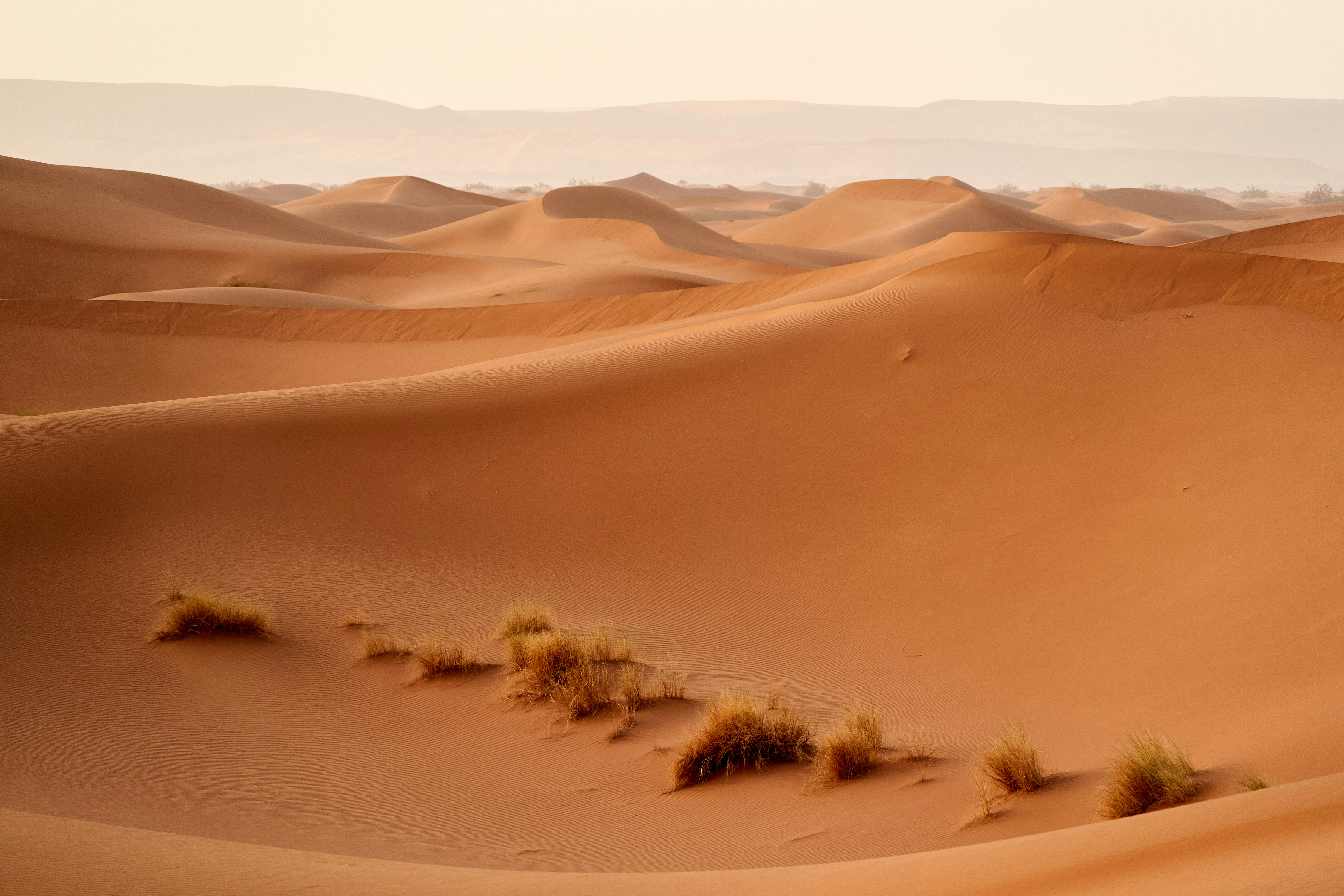 Carpa de lujo en el desierto del Sahara al atardecer