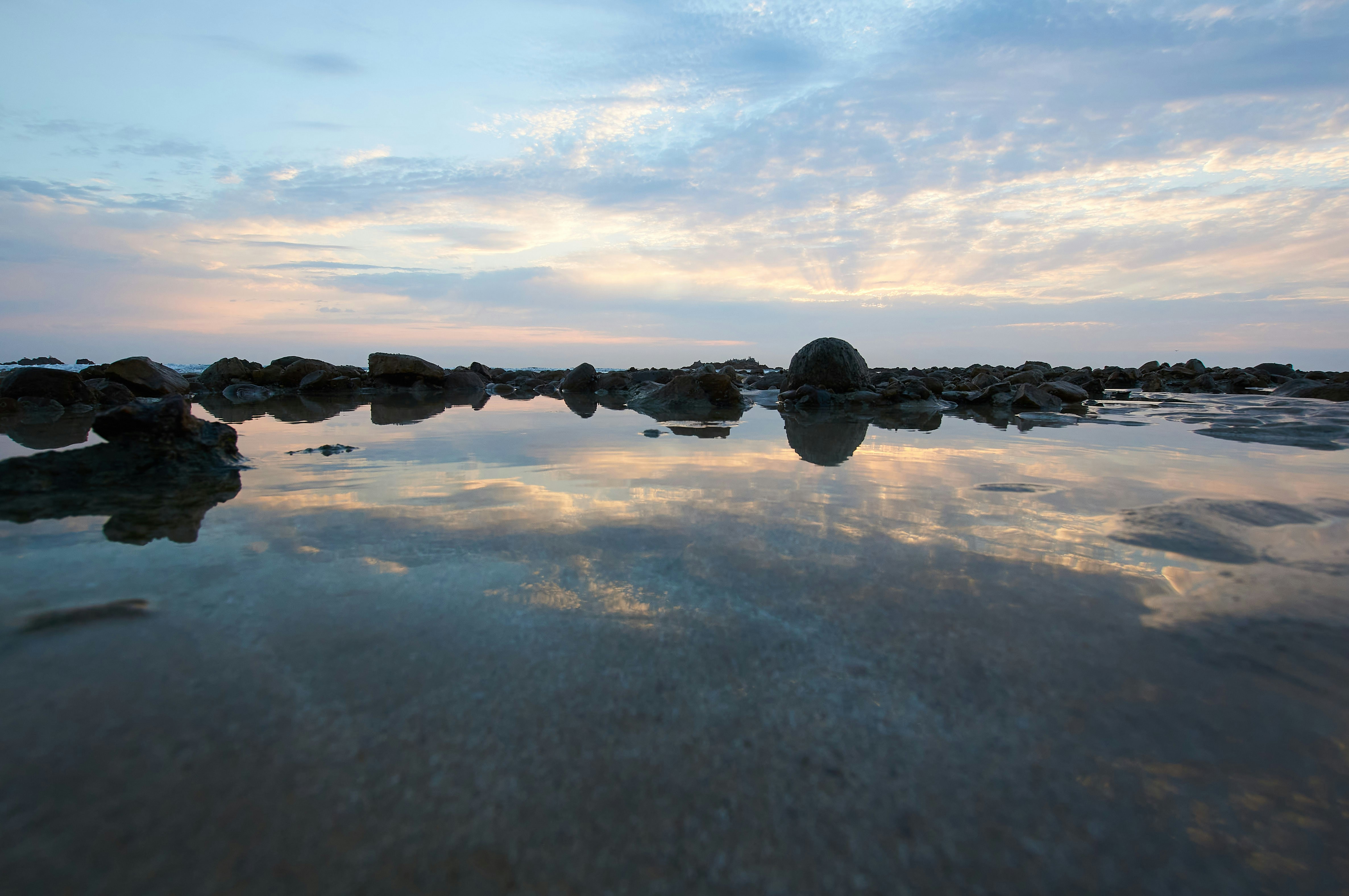 Photo by wolfgang_hasselmann