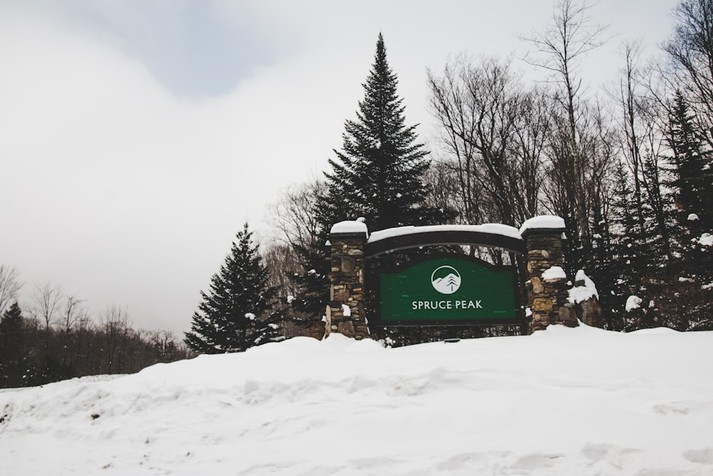 Tren verde y marrón en suelo cubierto de nieve durante el día