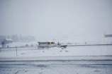 Snow clearing in progress with a large plow pushing through fresh snow on a rural road.