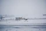 Snow being cleared from a residential driveway with a snowplow.