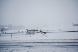A snowplow clearing a driveway surrounded by snow-covered trees