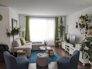 A bright room showcasing a soft fabric sectional sofa paired with a patterned rug and green plants.