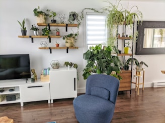 green potted plant on white wooden desk
