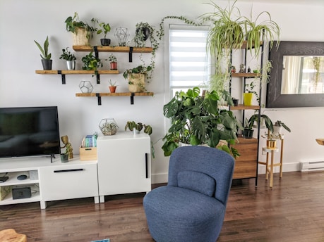 green potted plant on white wooden desk