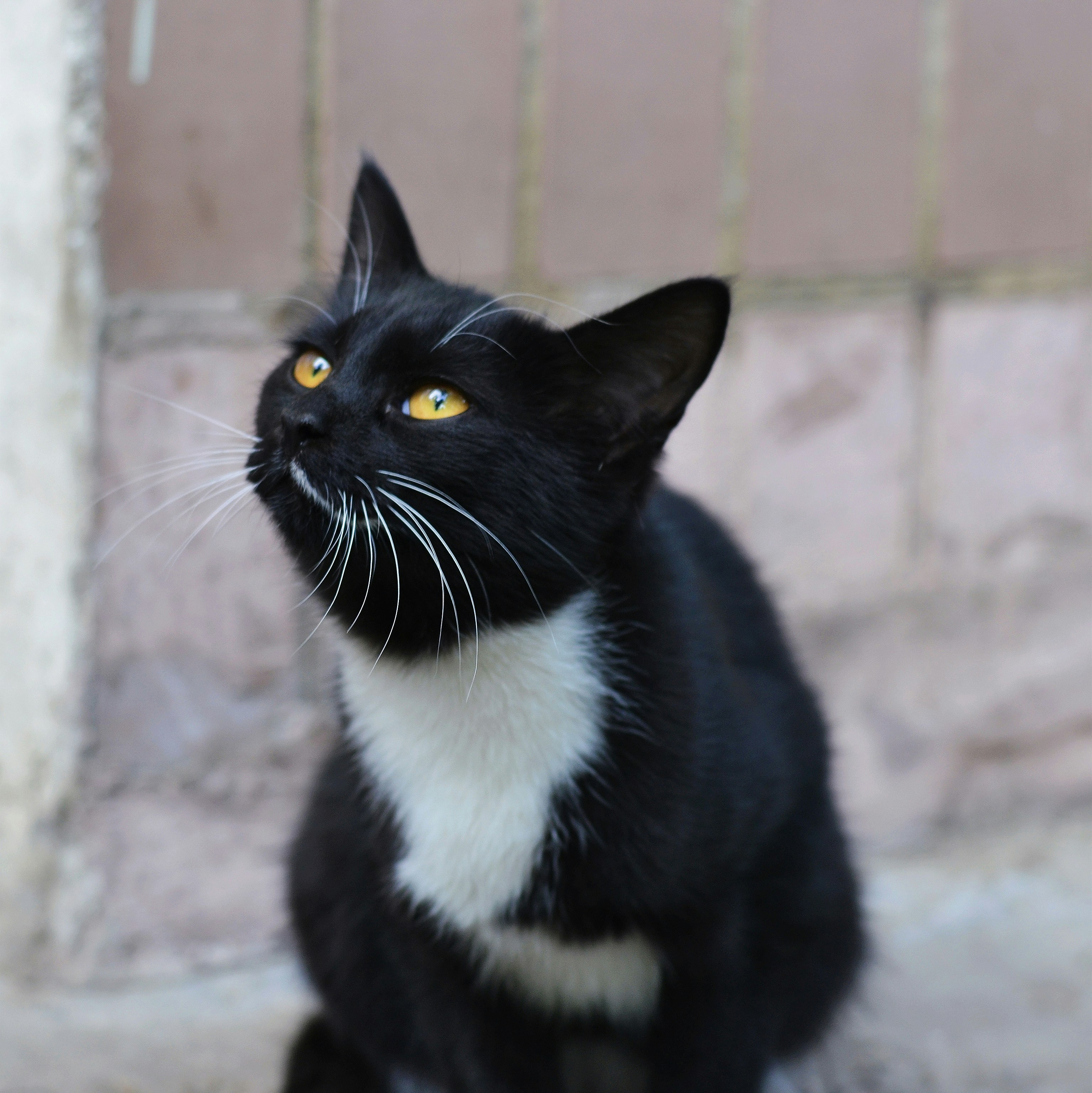 Photo by anastasiiad