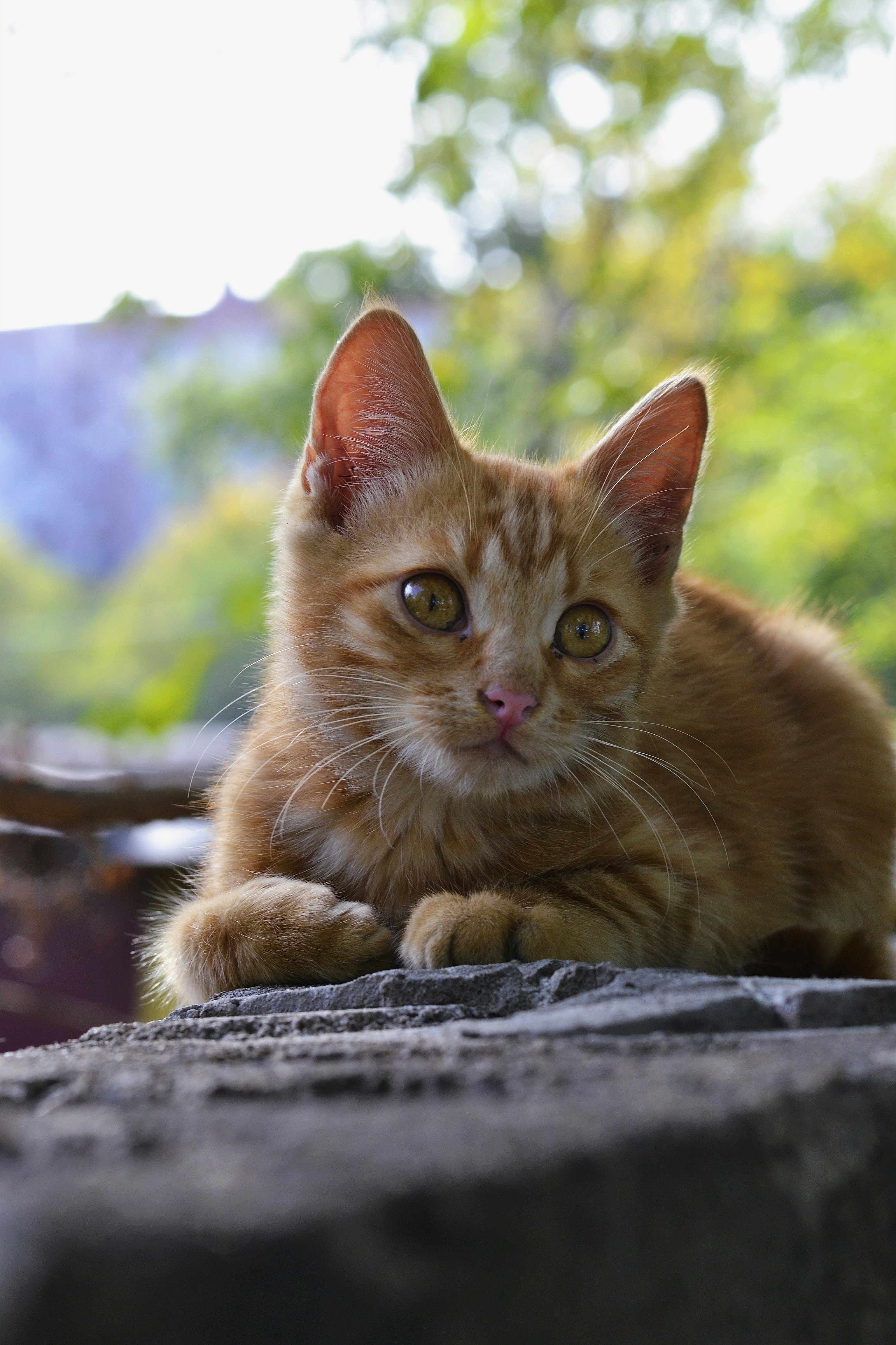 Photo by anastasiiad