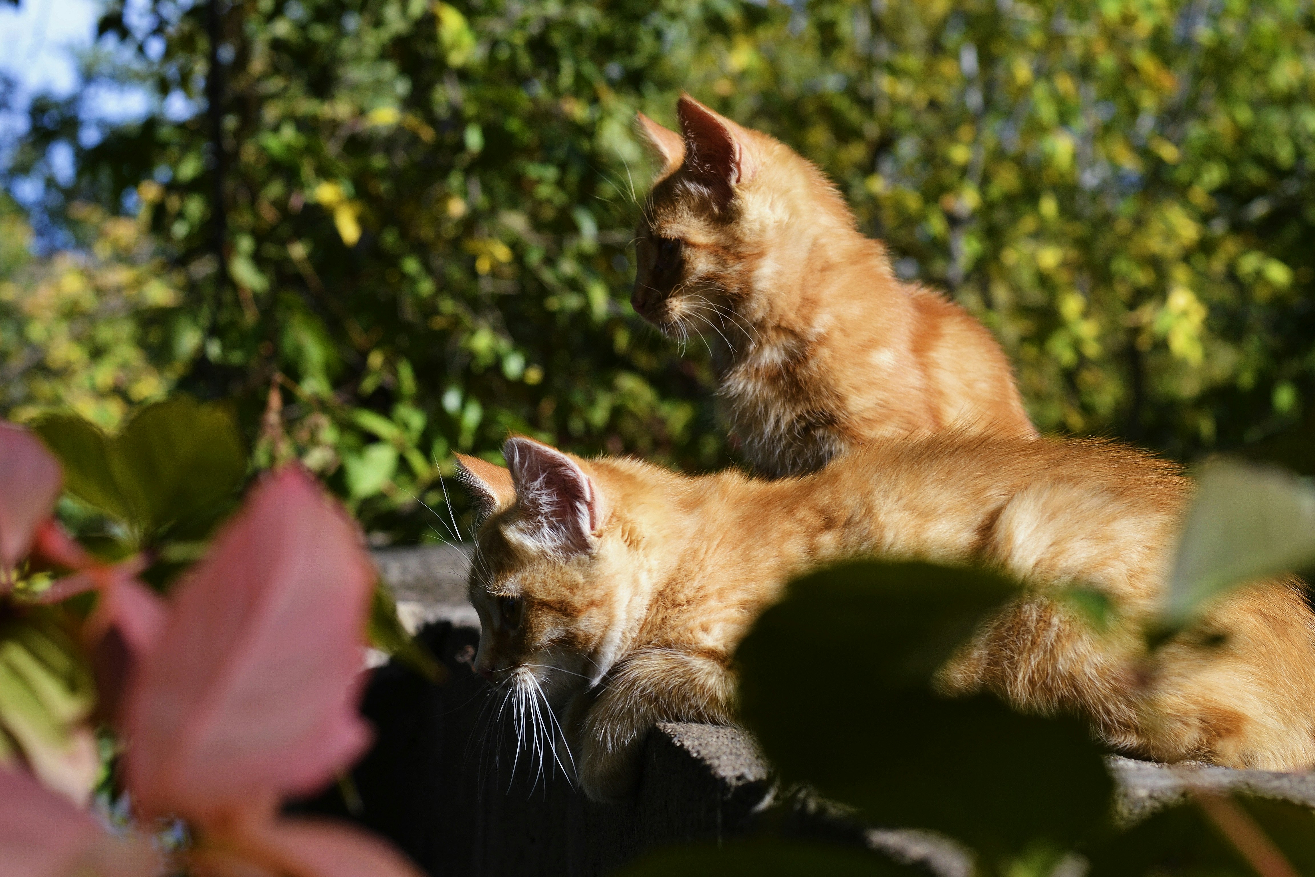 Photo by anastasiiad