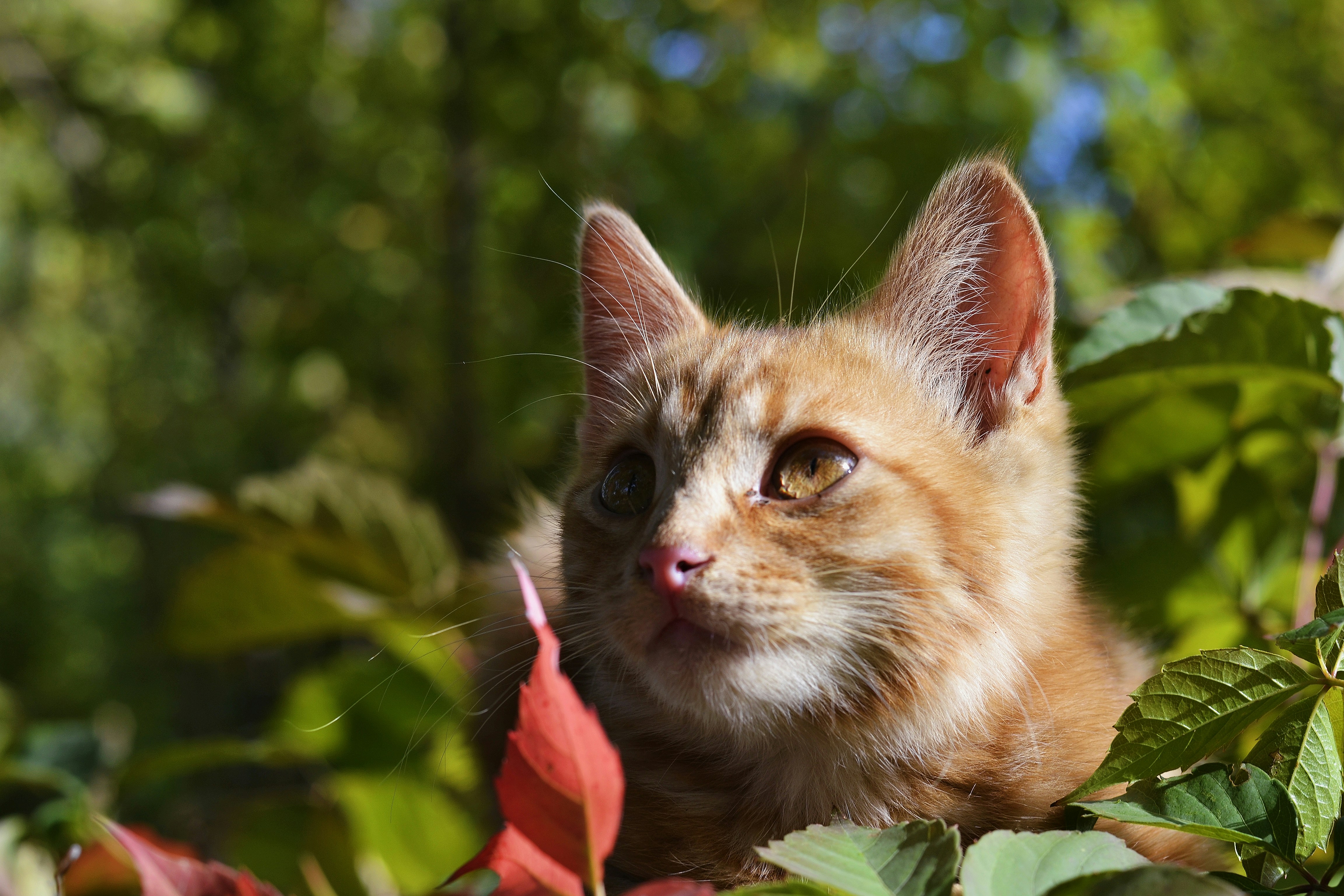 Photo by anastasiiad