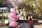 A vibrant street market scene featuring a cotton candy stand with bags of pink cotton candy hanging. A vendor in a red cap stands behind the stand. The background includes a stone fountain with spouting water and lush trees with purple and green foliage. The market area is bustling with pedestrians.