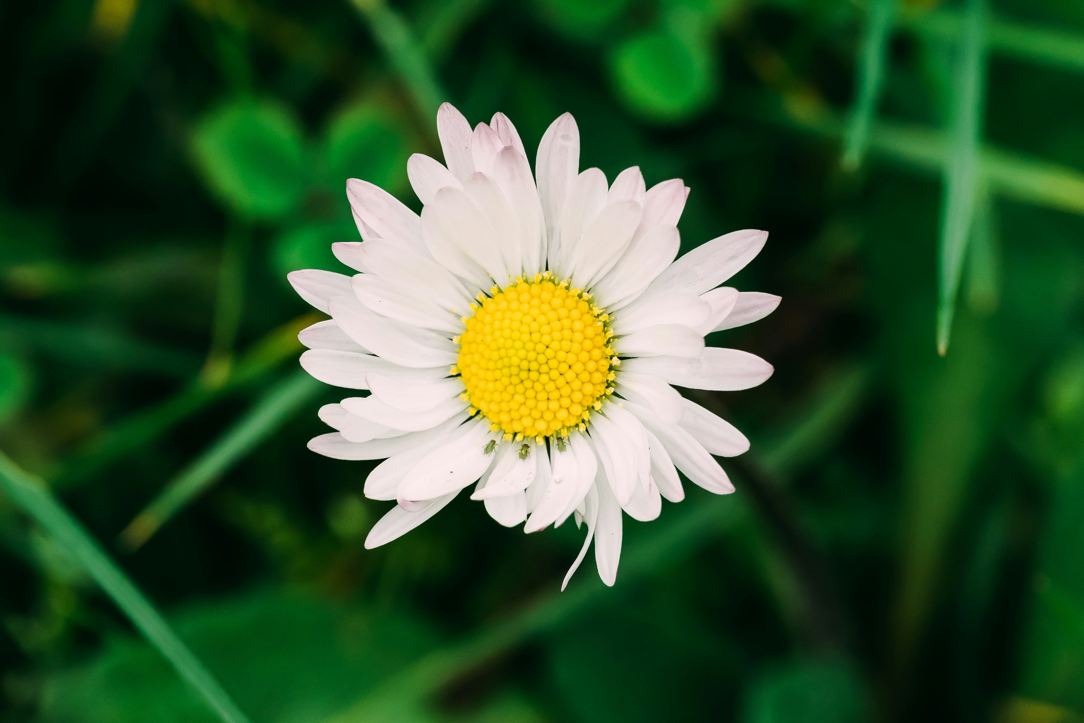 Photo by gabiontheroad