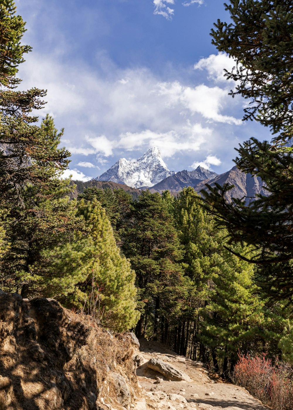 green trees near mountain under white clouds and blue sky during daytime