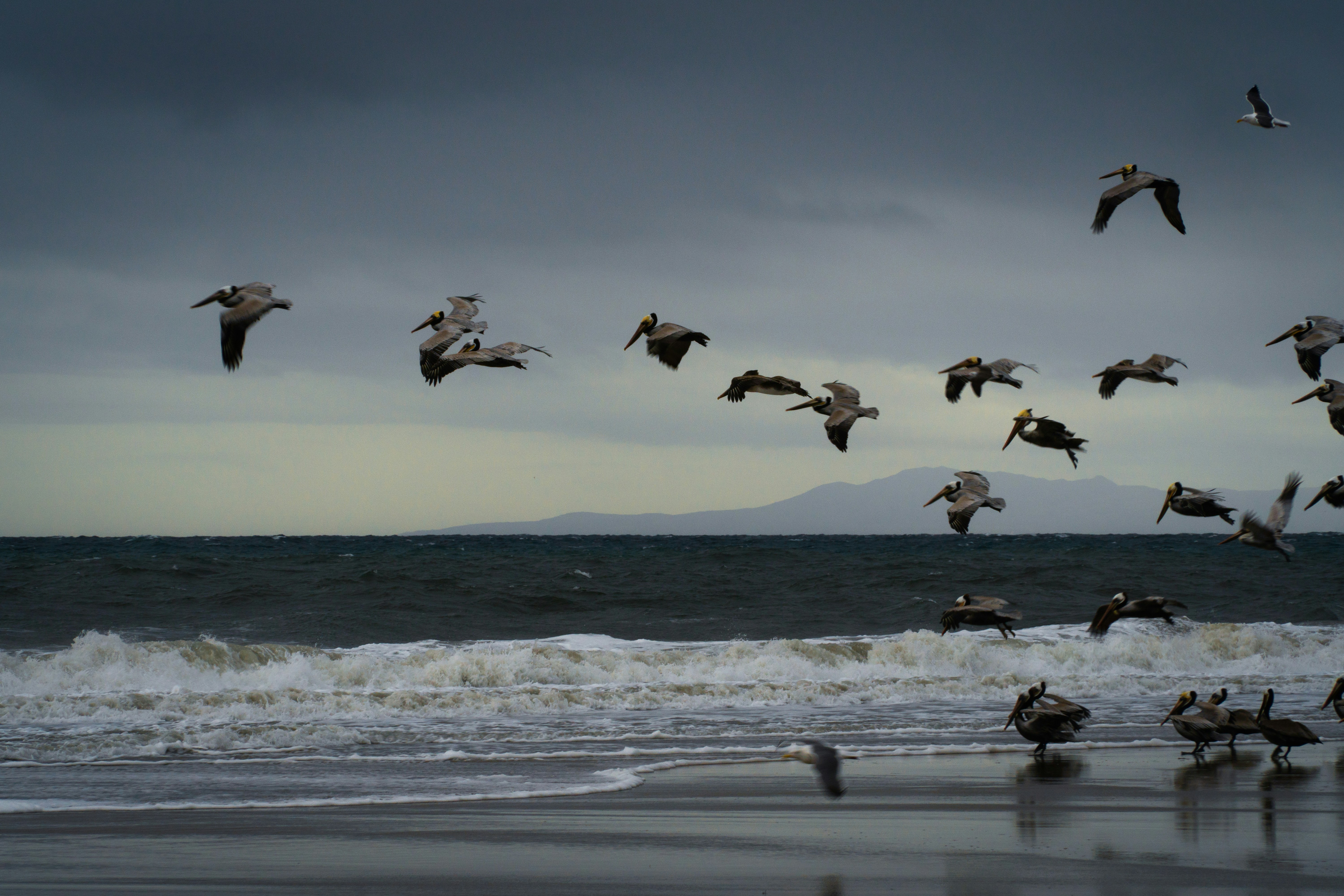 Photo by earl_plannerzone