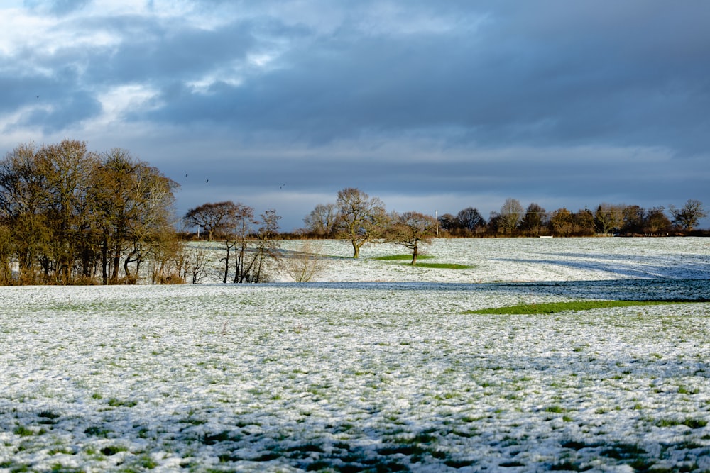 green grass field near body of water under cloudy sky during daytime