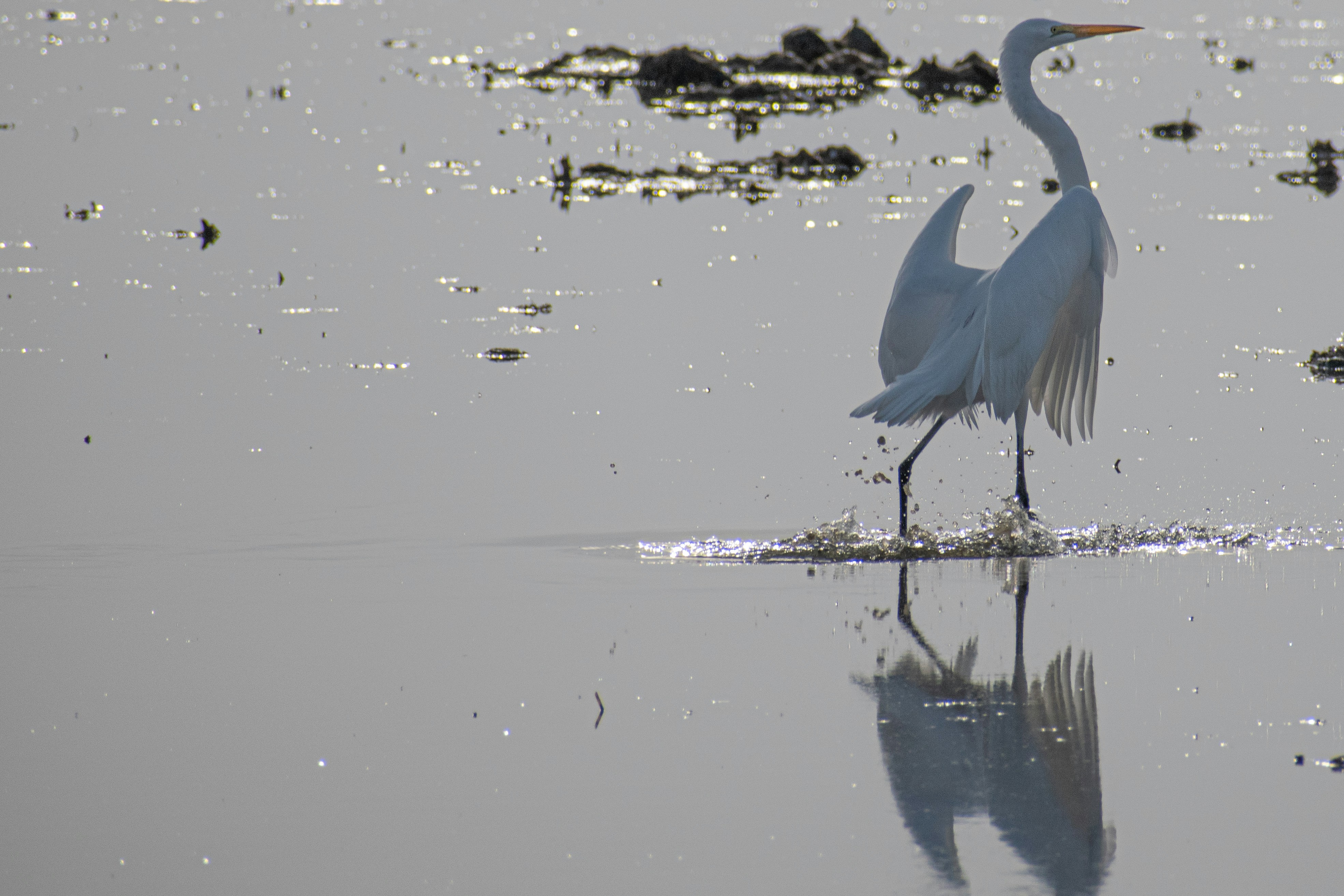 Photo by elisastonephotography