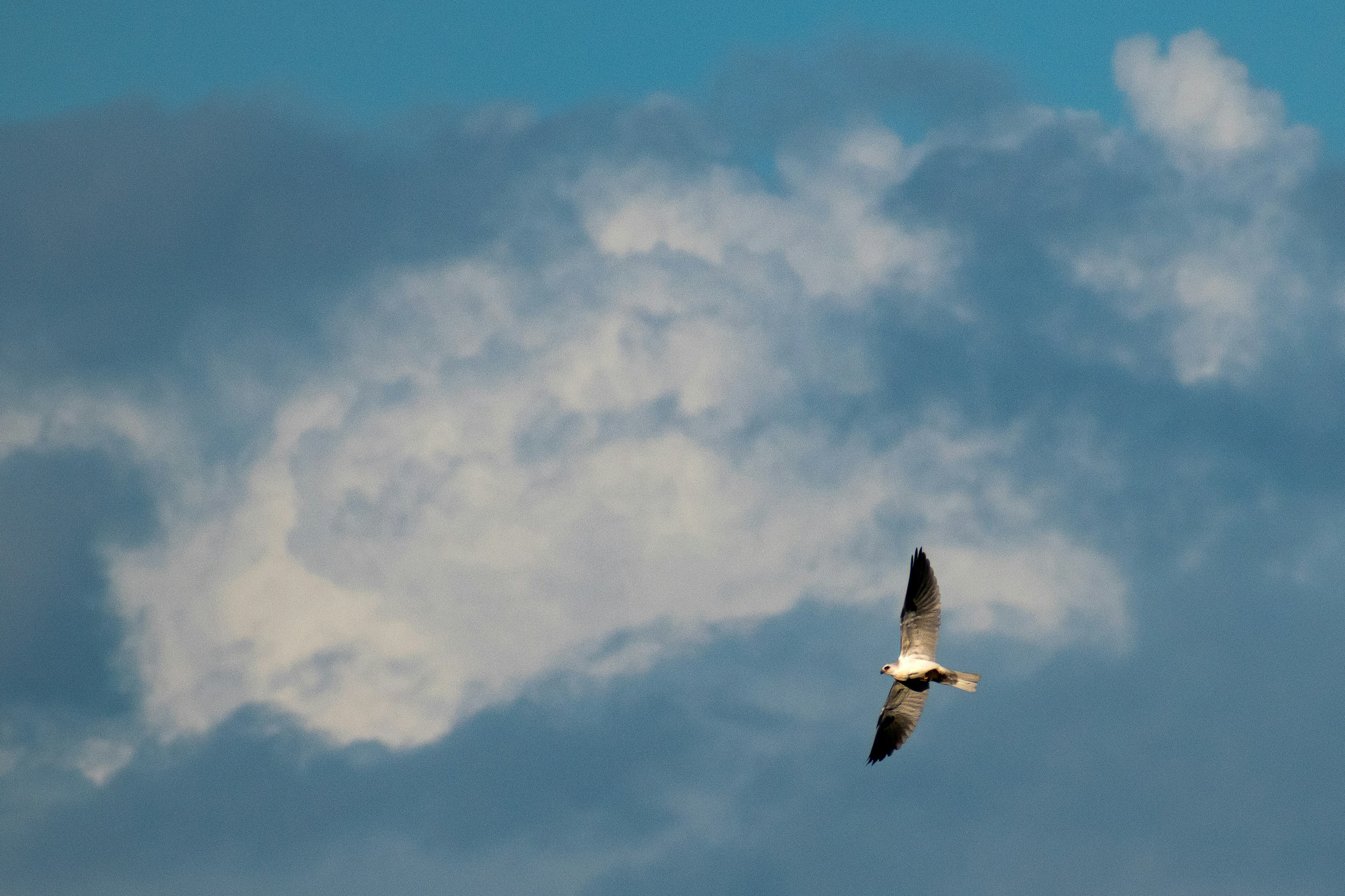 Photo by elisastonephotography