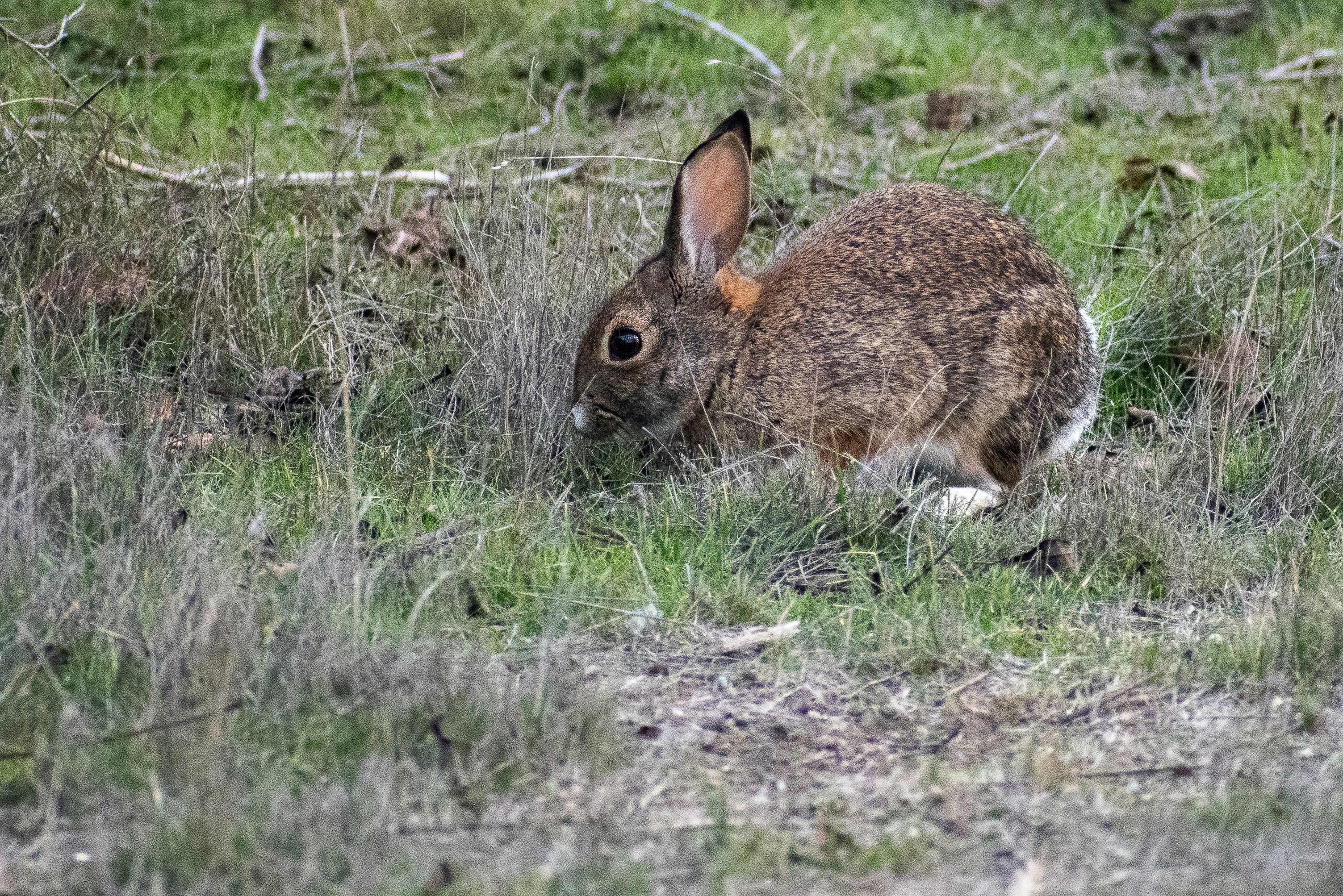 Photo by elisastonephotography