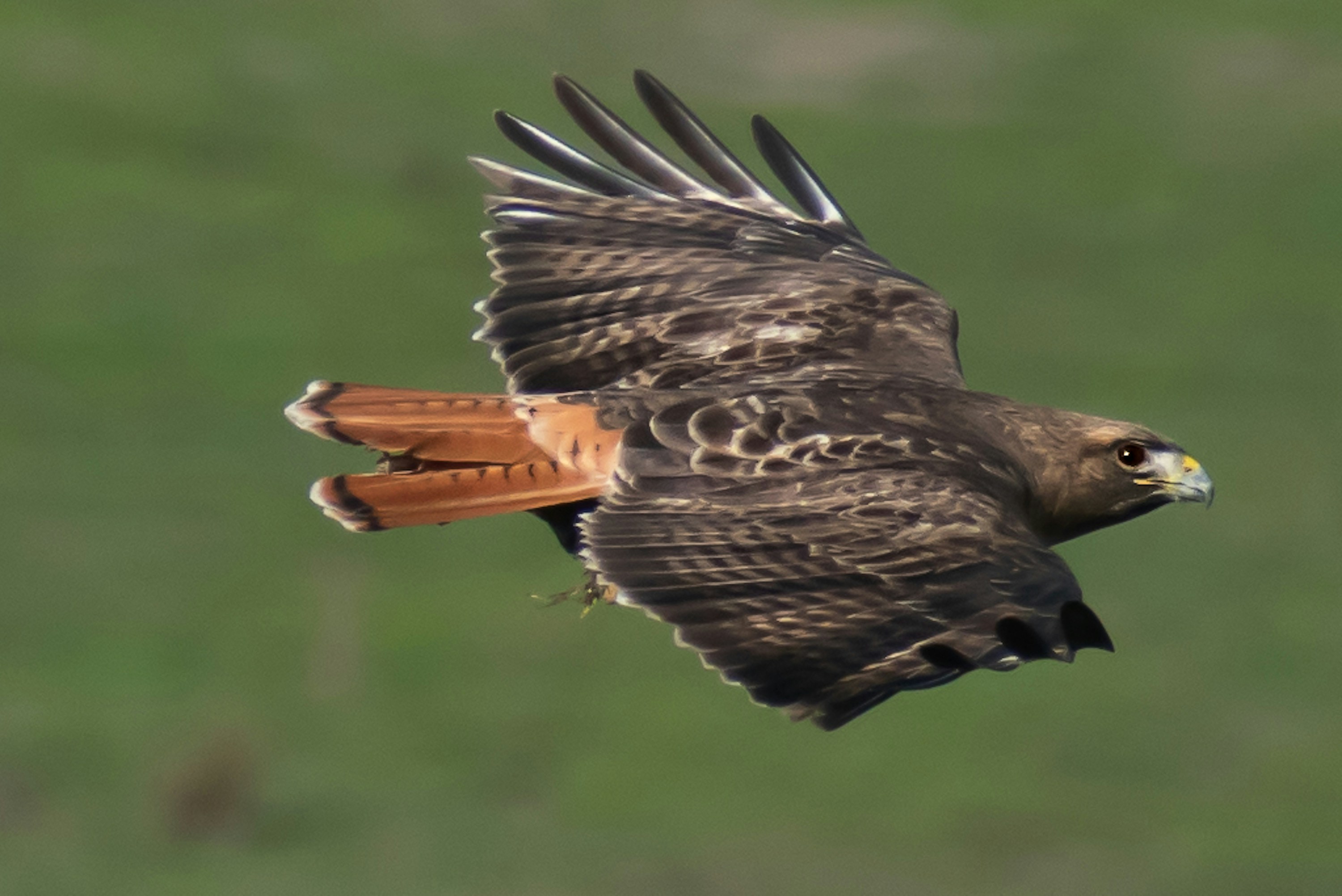 Photo by elisastonephotography