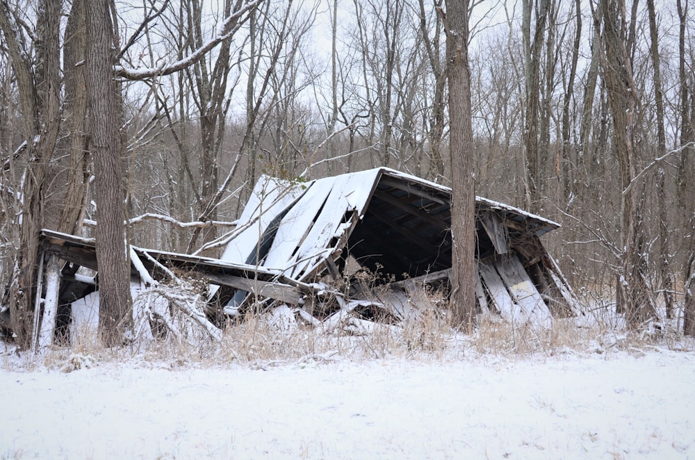 昼間は雪に覆われた茶色い木造家屋
