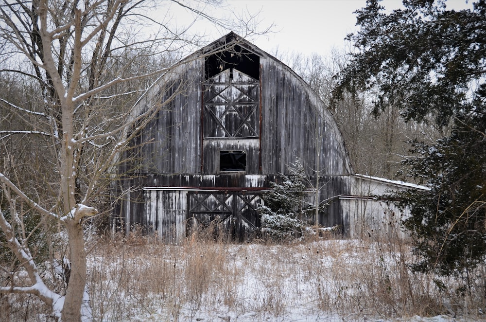 brown wooden house near trees during daytime