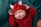 A newborn baby is peacefully sleeping, dressed in a red knitted outfit with tiny ear-like decorations on the hat. The baby is lying on a textured green blanket, creating a cozy and warm atmosphere.