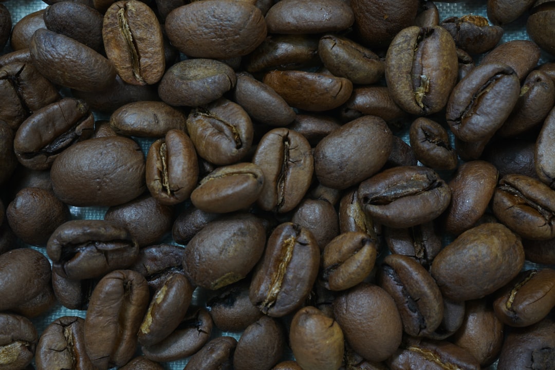 brown coffee beans on white ceramic plate